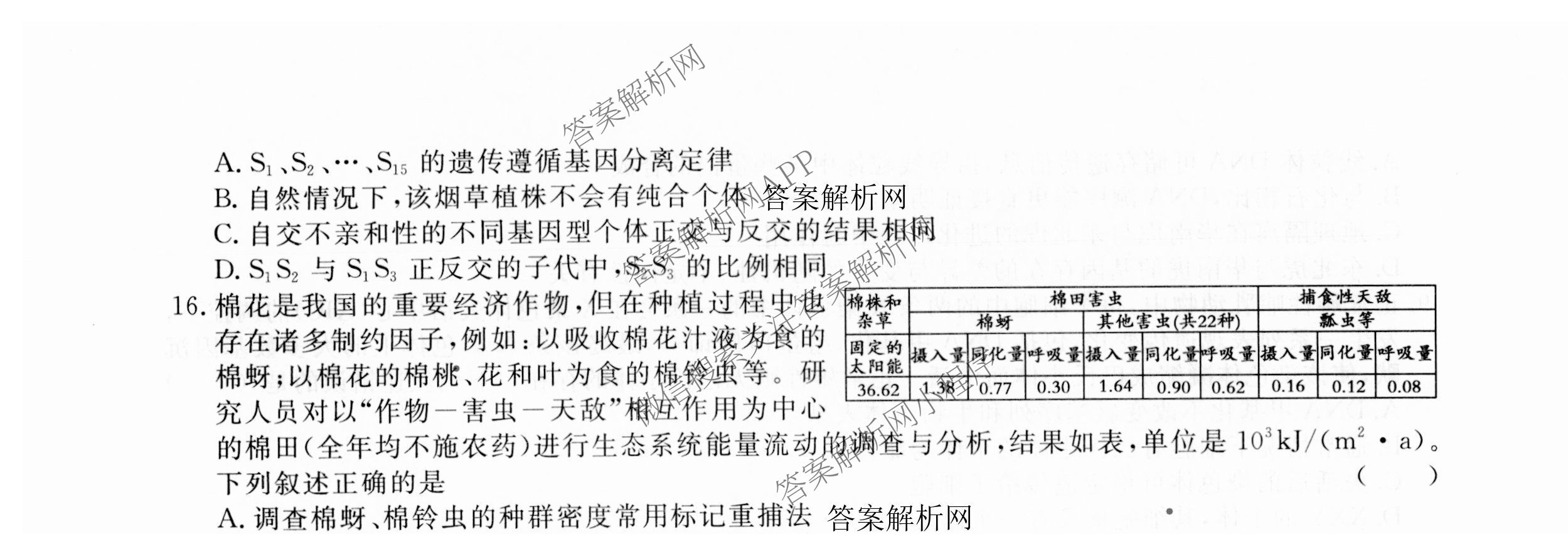 2026届高三总复习名师原创模拟(八)8试卷及答案汇总（含生物(XS6) 历史(XS6) 数学(新S6J)等39份）生物试题