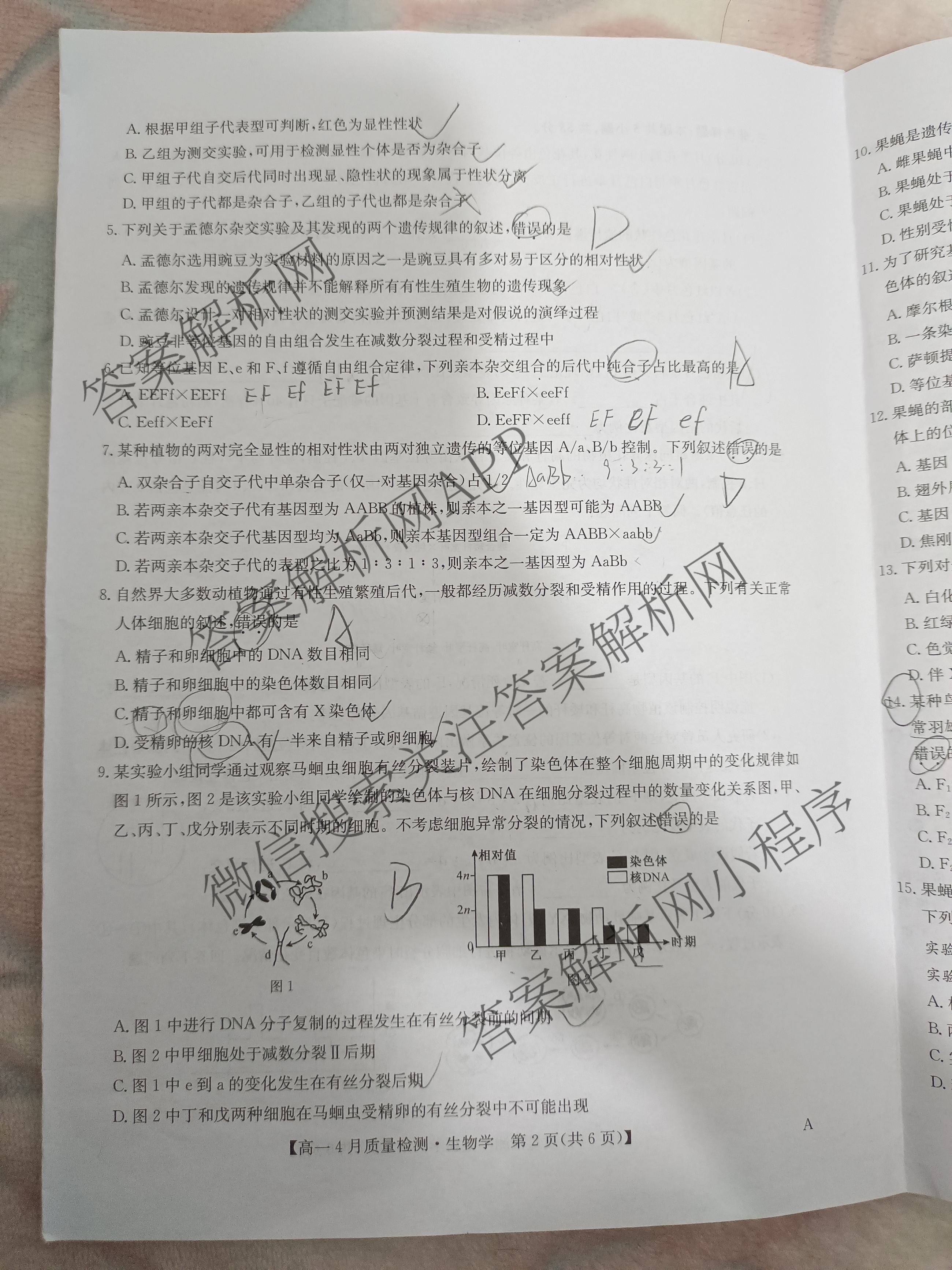 九师联盟2024-2025学年度高一4月质量检测各科答案及试卷: 含生物(B) 化学(人教) 英语试卷解析生物试题