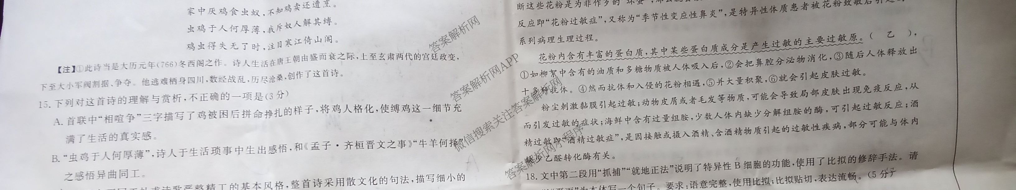 安徽省2025届高三第二学期4月质量检测巩固卷试卷及答案汇总（含数学(B) 化学(B) 英语(B)等9份）语文试题
