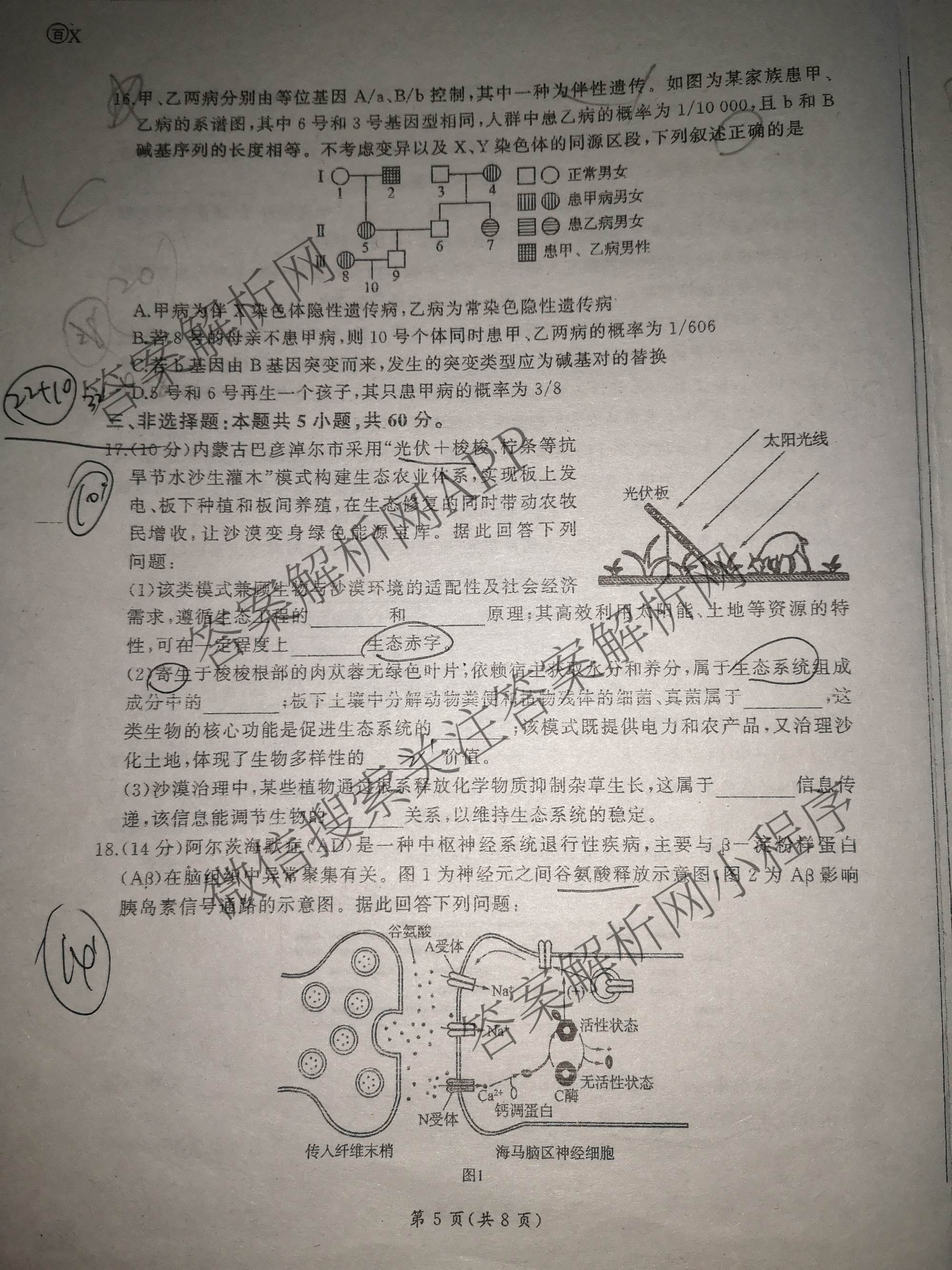 百师联盟2026届高三开年大联考(3.5)(已更新数学(百C)、历史(百N)、历史(百G)等81份)生物试题