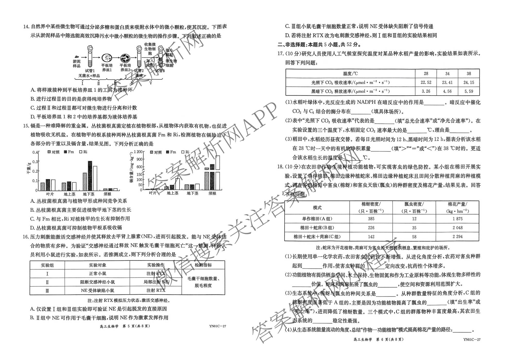 云南省昆明市第一中学2027届高三上学期9月考试(YN01C-27)(已更新政治、历史、英语等9份)生物试题