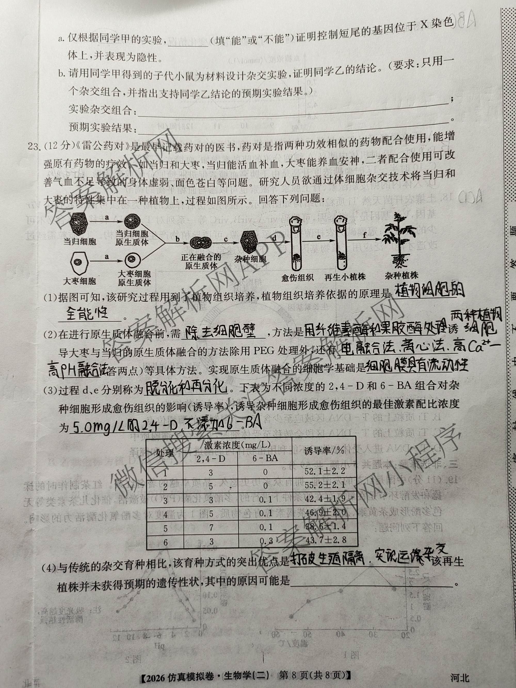 2026年普通高等学校招生全国统一考试仿真模拟卷(二)2各科答案及试卷(已更新数学、地理(F1)、化学(F1)等14份)生物试题