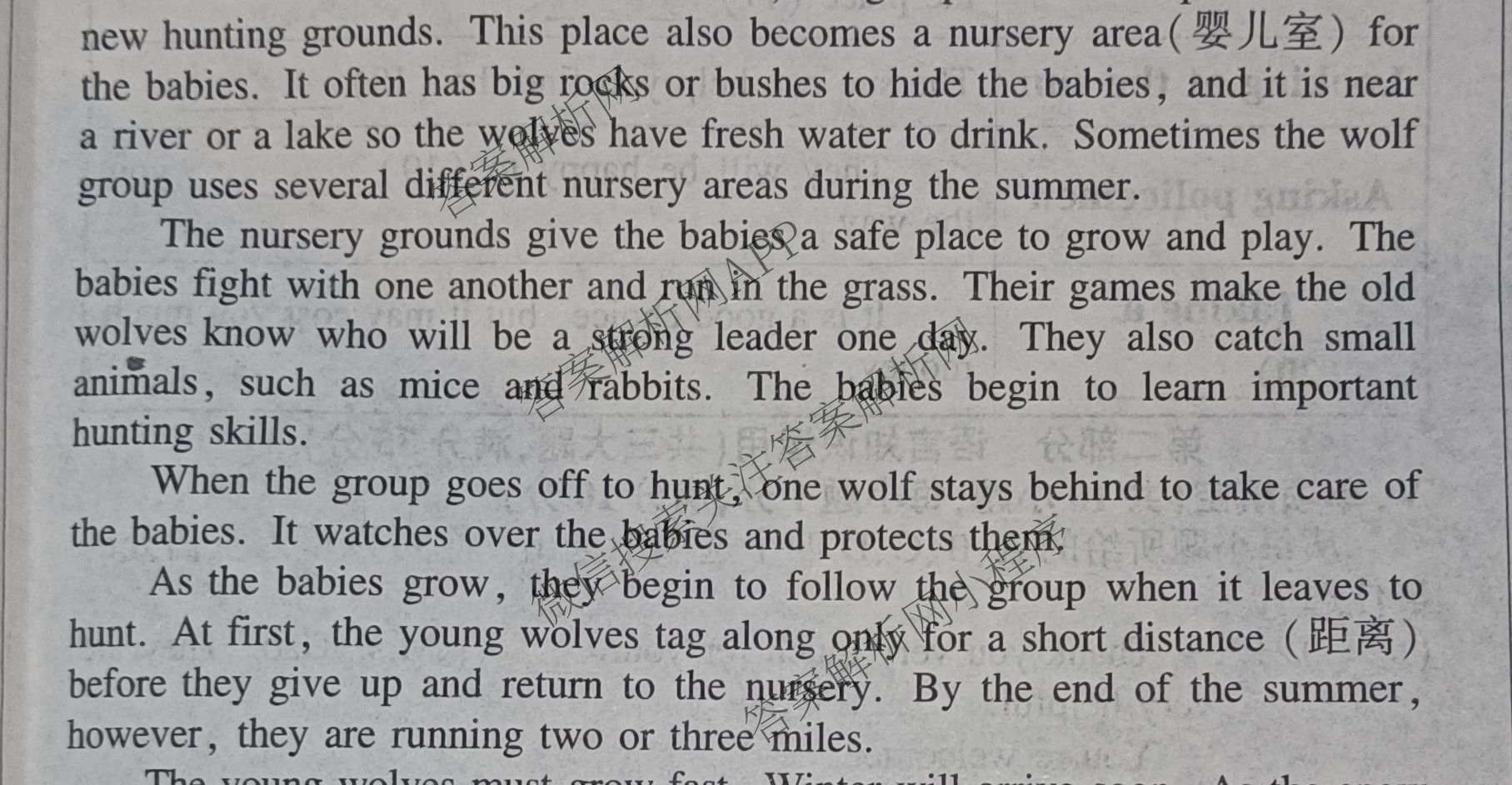 2026年安徽中考第一轮复专题(八)（7科全）英语试题
