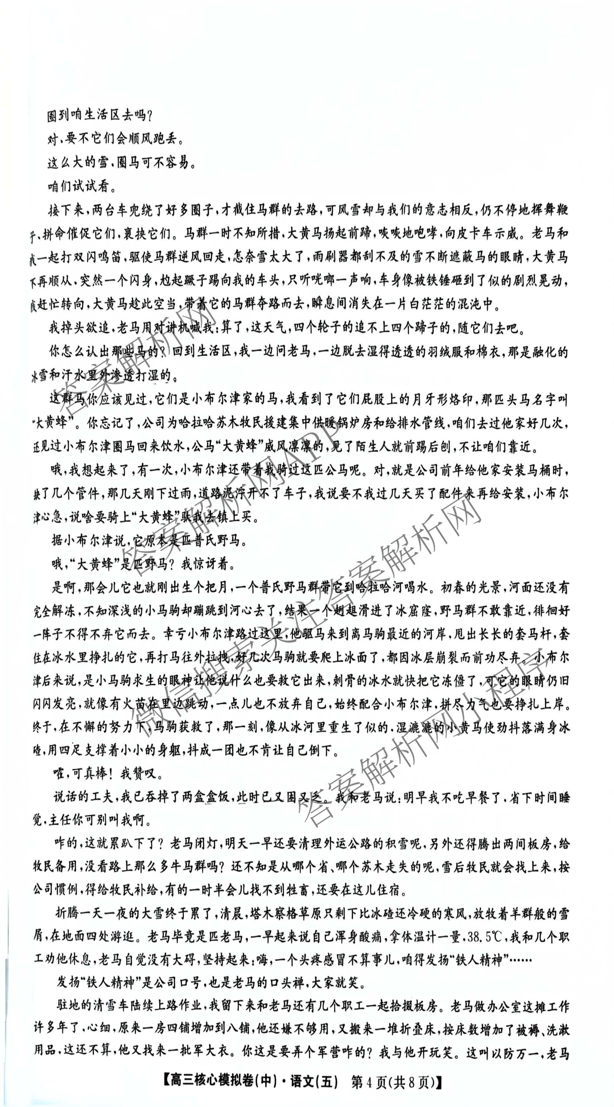 九师联盟2025~2026学年高三核心模拟卷(中)(五)各科答案及试卷（含历史(D2) 政治(B) 政治(D2)等）语文试题