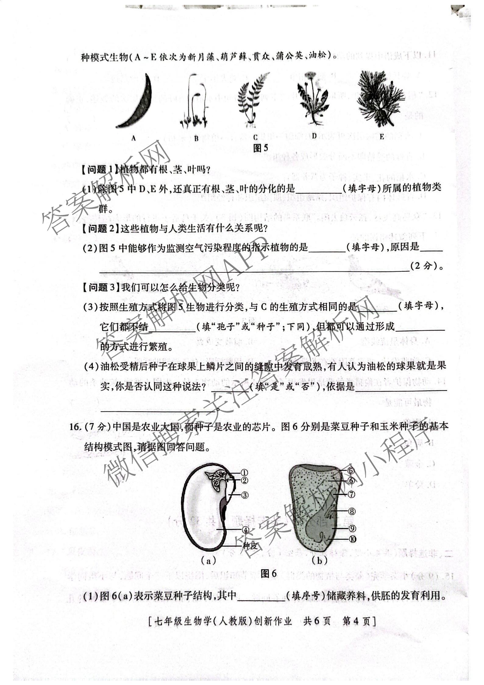 陕西省2025-2026学年度第一学期第三阶段创新作业七年级各科答案及试卷（7科全）生物试题