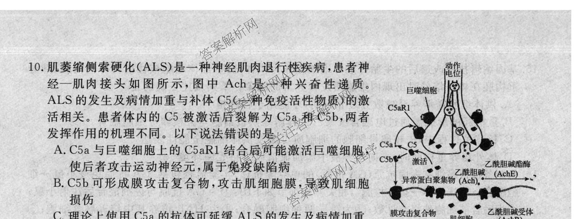 2026普通高等学校招生全国统一考试冲刺押题卷(一)1各科答案及试卷（含数学(B)、物理、英语等11份）生物试题
