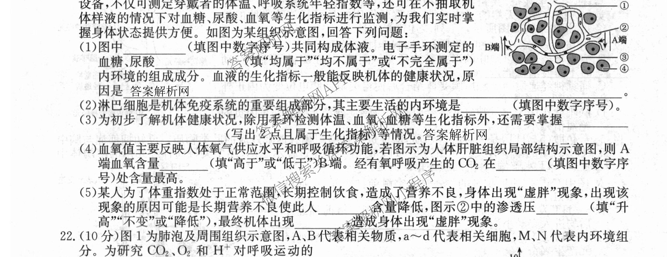 2025~2026学年度高二高中同步月考测试卷(一): 含数学(选择性必修第一册 RJ)、地理(选择性必修1 RJ)、数学(选择性必修第一册 XJ)试卷解析生物试题