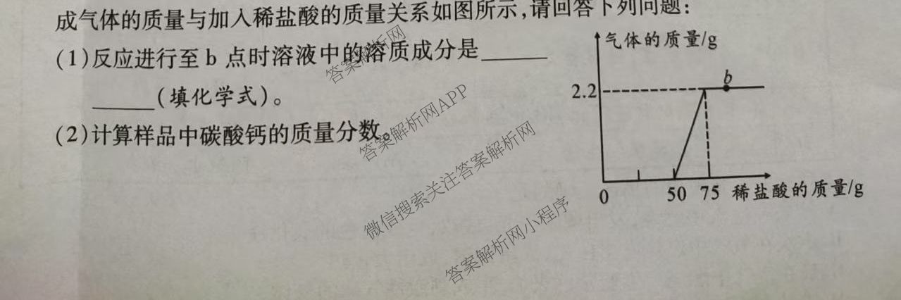 2025年陕西省初中学业水考试突破卷[T-2][试卷类型A]（7科全）化学试题