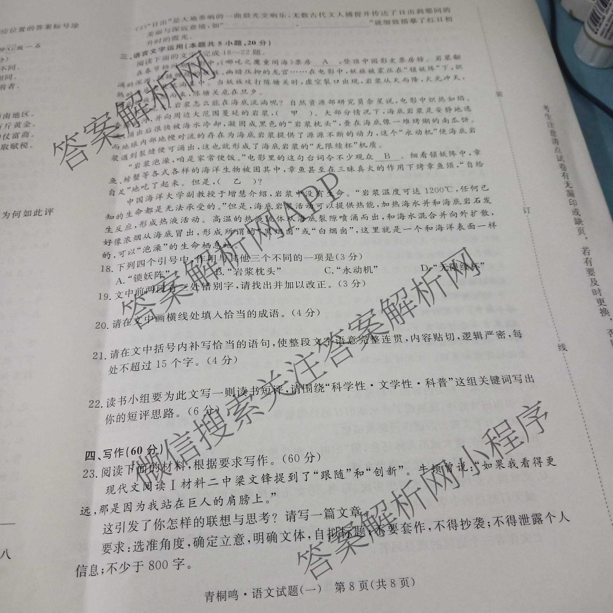 青桐鸣2025届普通高等学校招生全国统一考试高考冲刺联考卷(一)1各科答案及试卷（含地理、数学、生物等）语文试题