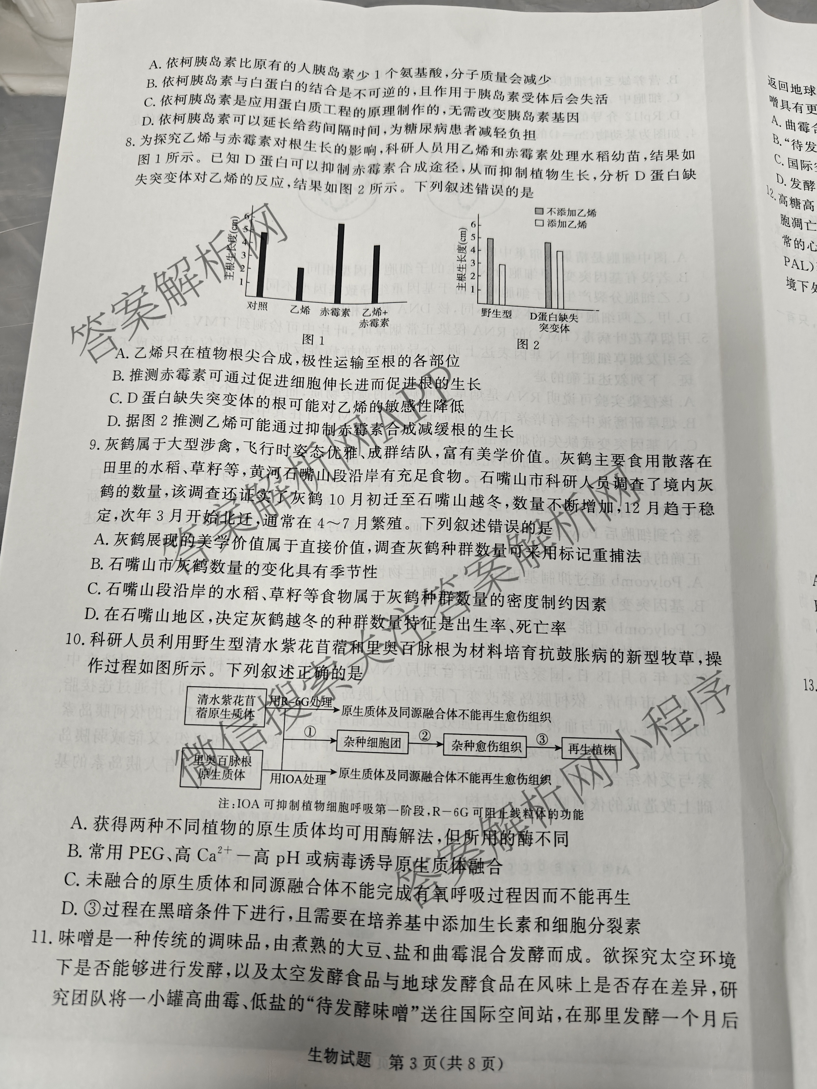 青桐鸣2025届普通高等学校招生全国统一考试青桐鸣大联考(高三)(5.9)各科答案及试卷（含历史、语文、政治等）生物试题