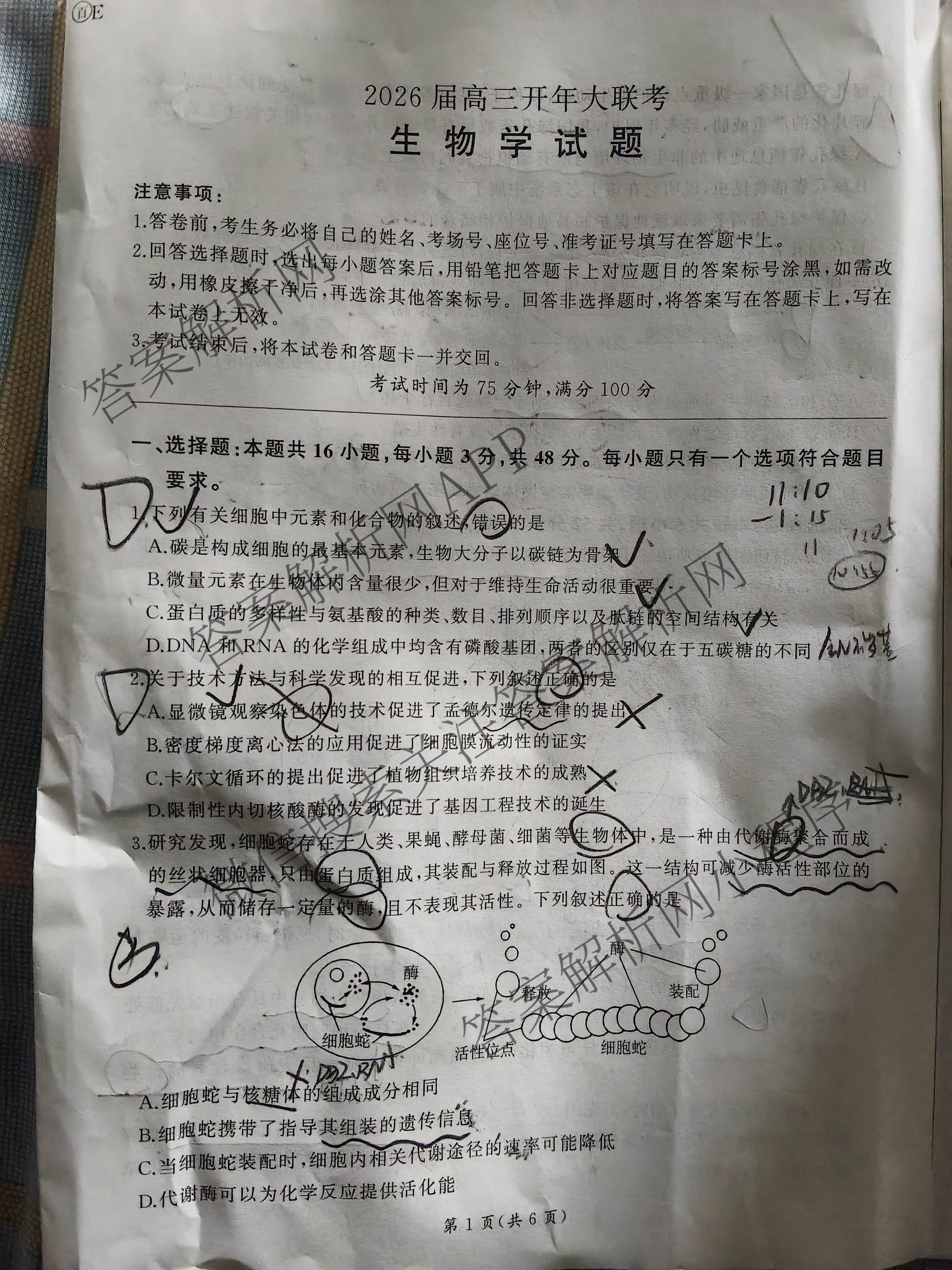 百师联盟2026届高三开年大联考(3.5)(已更新数学(百C)、历史(百N)、历史(百G)等81份)生物试题
