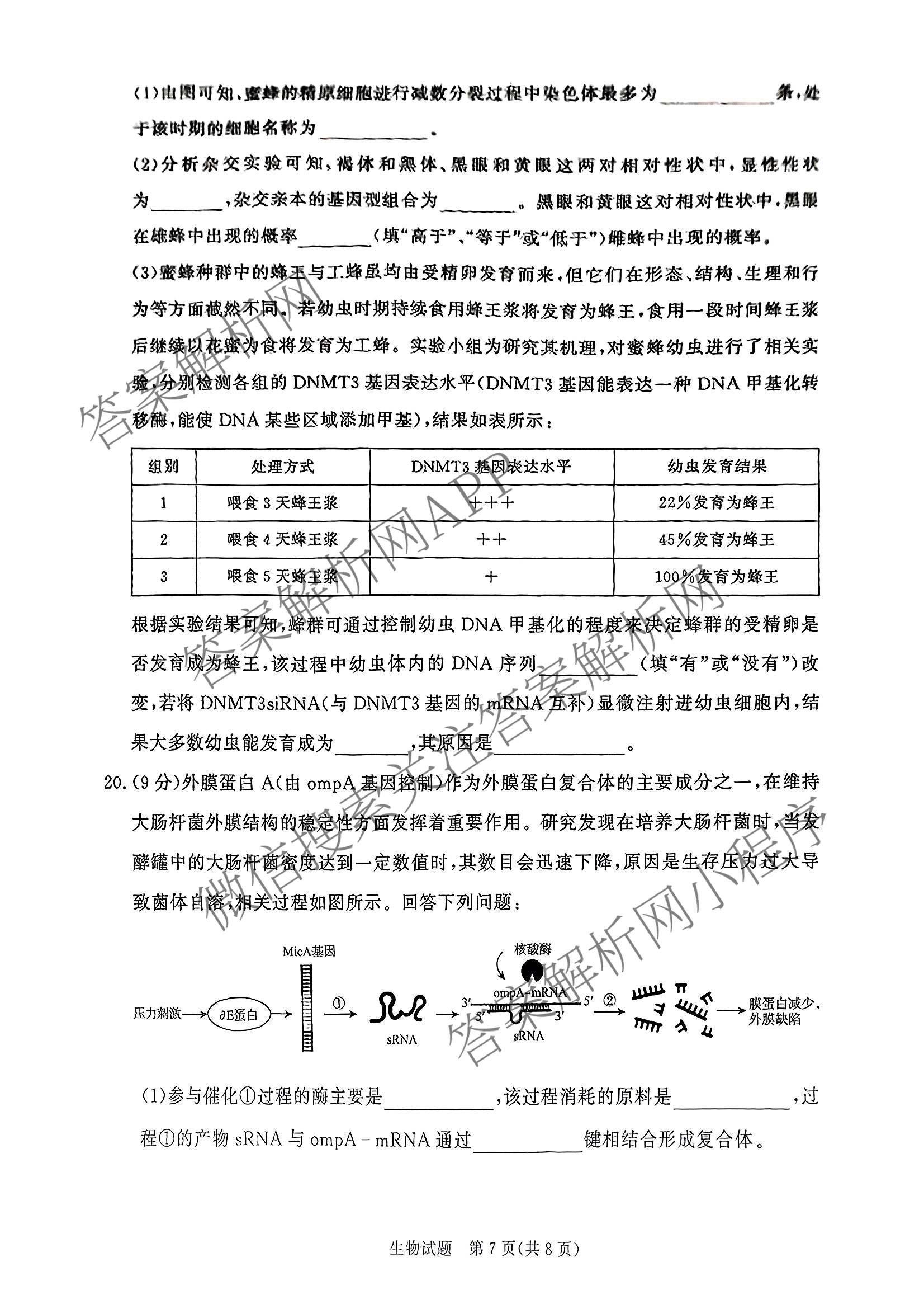 2027届普通高等学校招生全国统一考试青桐鸣大联考(高一)(6.17-6.18)各科答案及试卷(已更新生物、物理(A)、政治等11份)生物试题