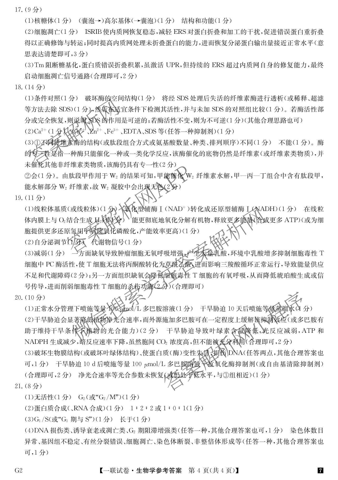 全国名校大联考2026-2027学年高三第一次联考(月考)试卷各科答案及试卷(已更新物理(G1) 化学(G2) 语文等9份)生物答案