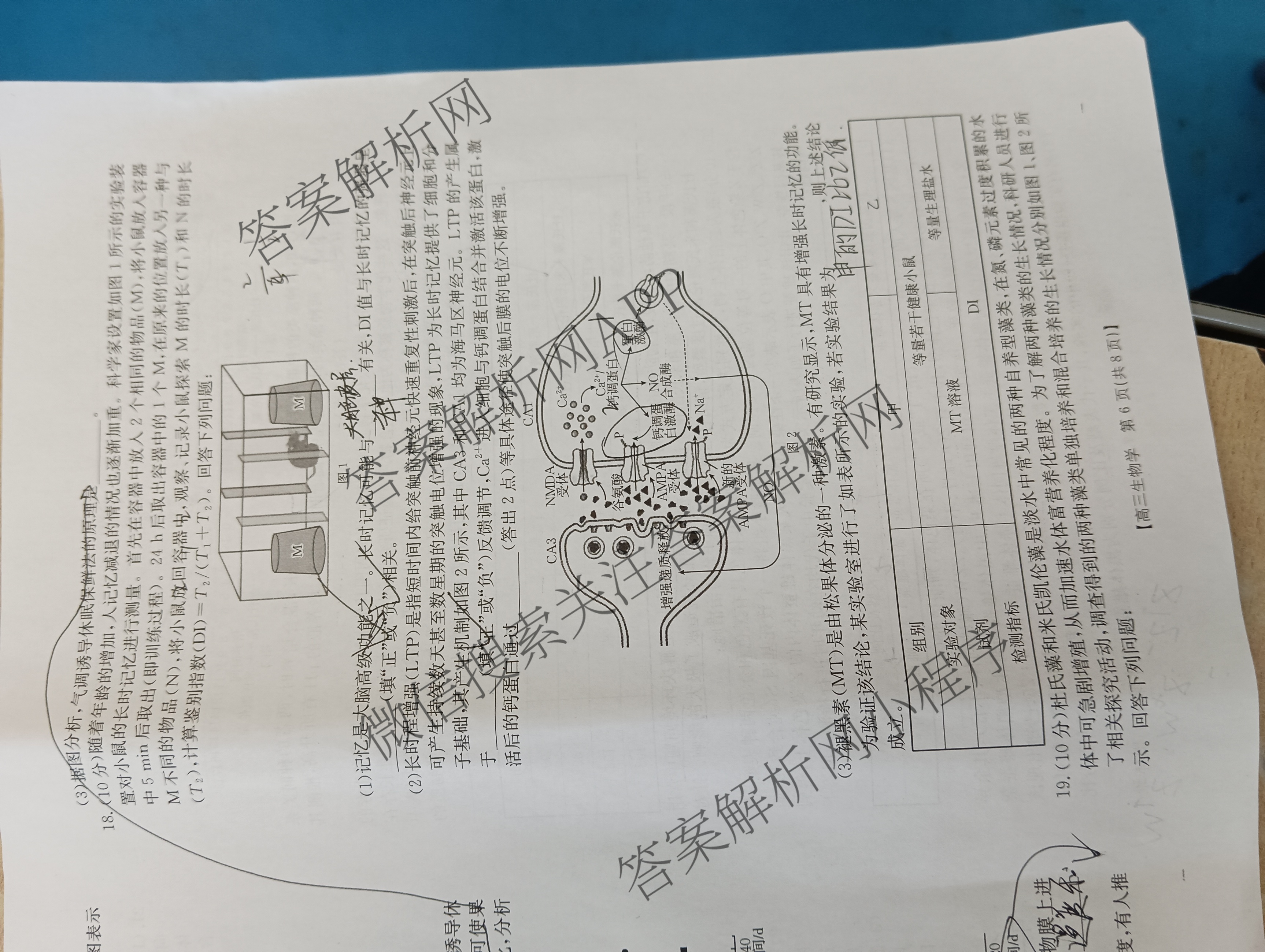 2025届山西、陕西、宁夏、青海四省区普通高中新高考高三质量检测(4.10)（含生物(B卷)、政治(A卷)、历史(B卷)等）生物试题