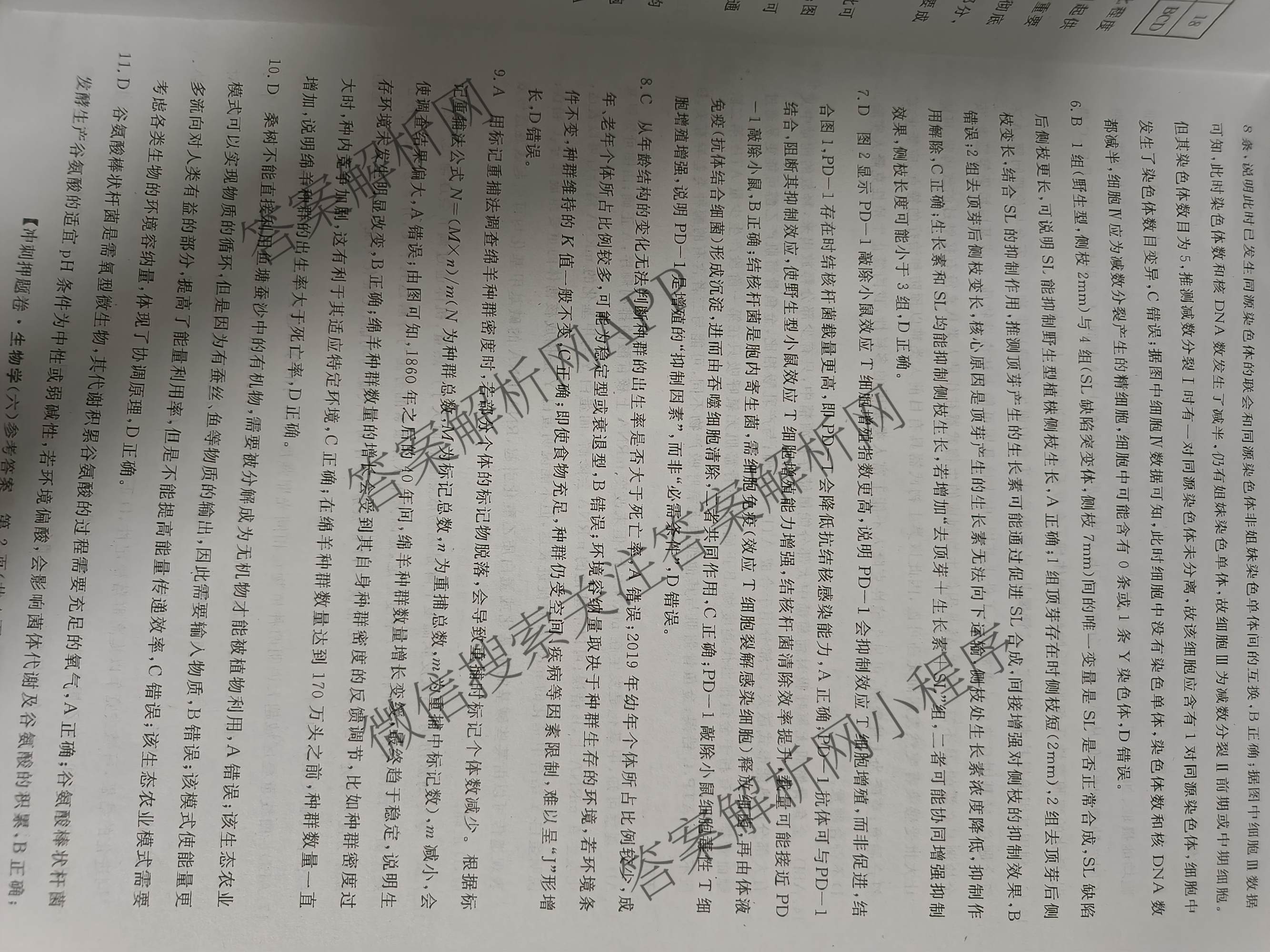 2026普通高等学校招生全国统一考试冲刺押题卷(六)6各科答案及试卷（含数学(A)、语文、生物(HBJ)等）生物答案