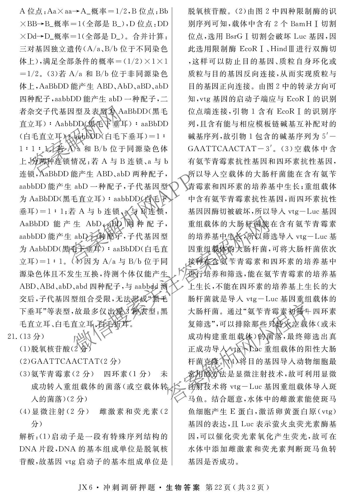 2026届冲刺调研押题实战演练(四)4（含地理(SX6) 地理(AG6) 历史(SD6)等）生物答案