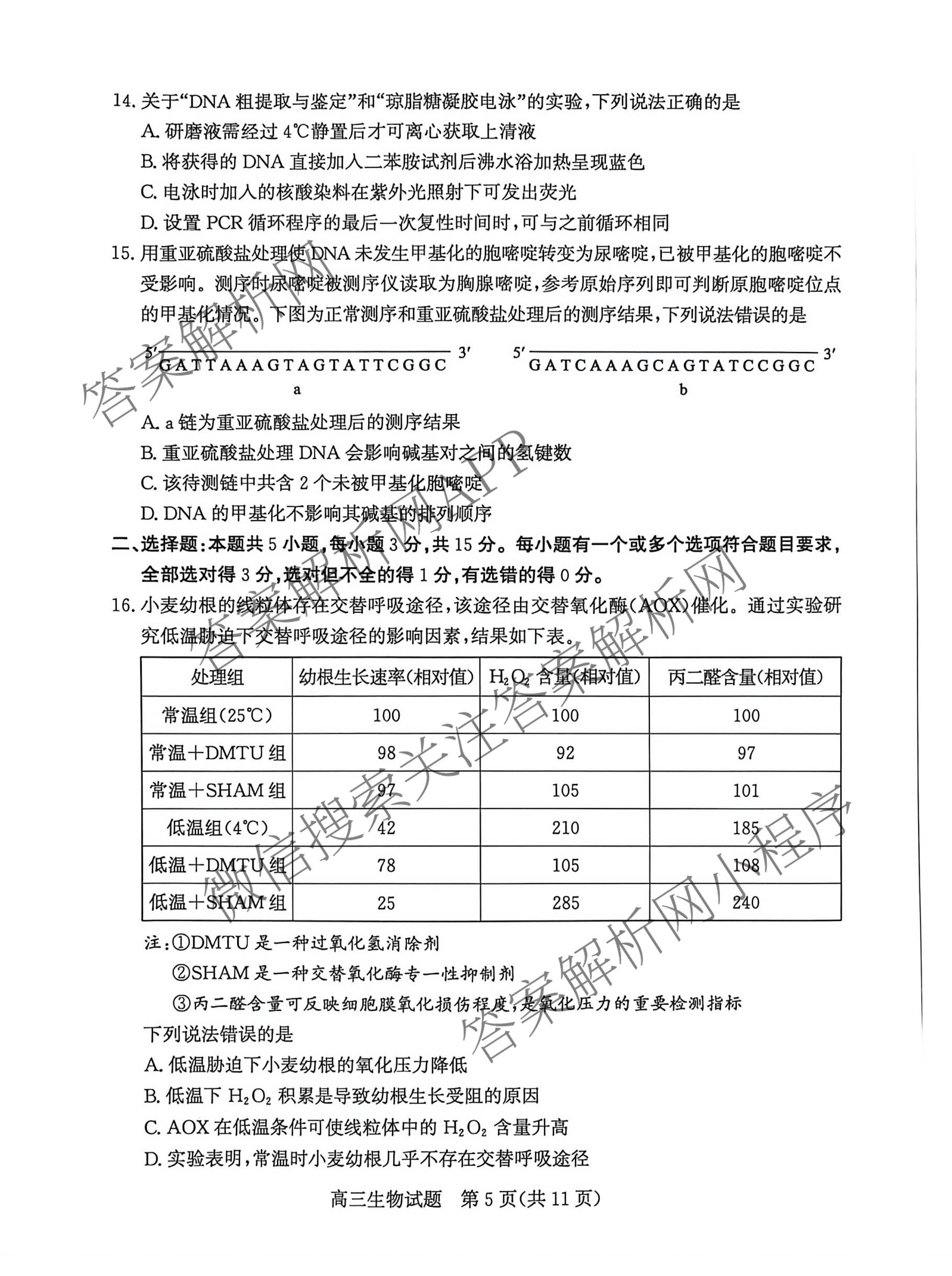 山东省滨州市2026届高三(无标题)(2026.3)各科答案及试卷（9科全）生物试题