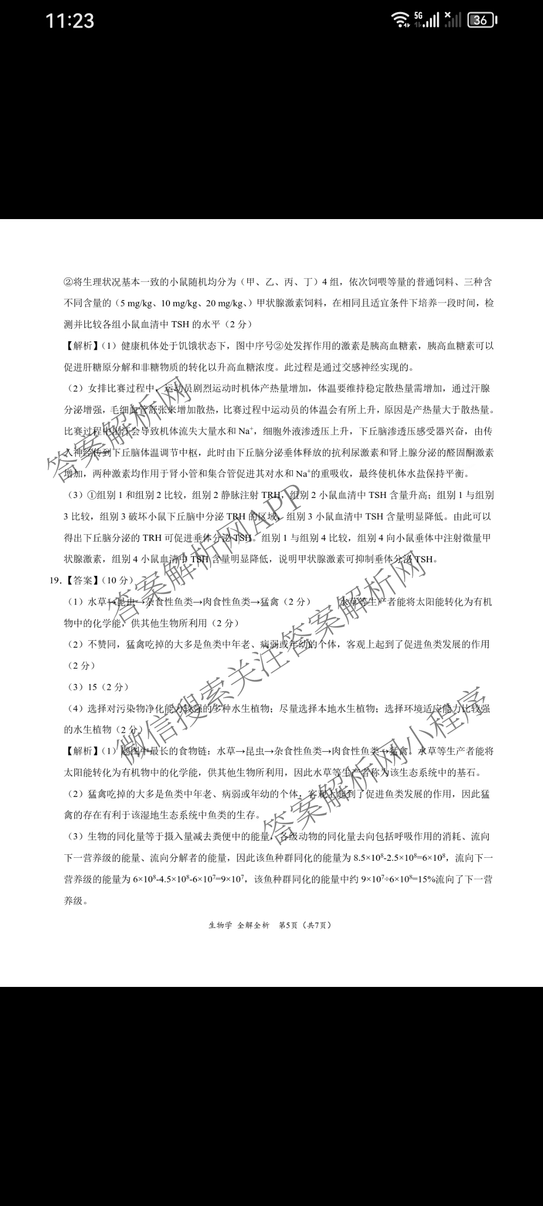 2025届高三4月大联考考后强化卷(已更新历史 生物(新高考卷) 英语等9份)生物答案