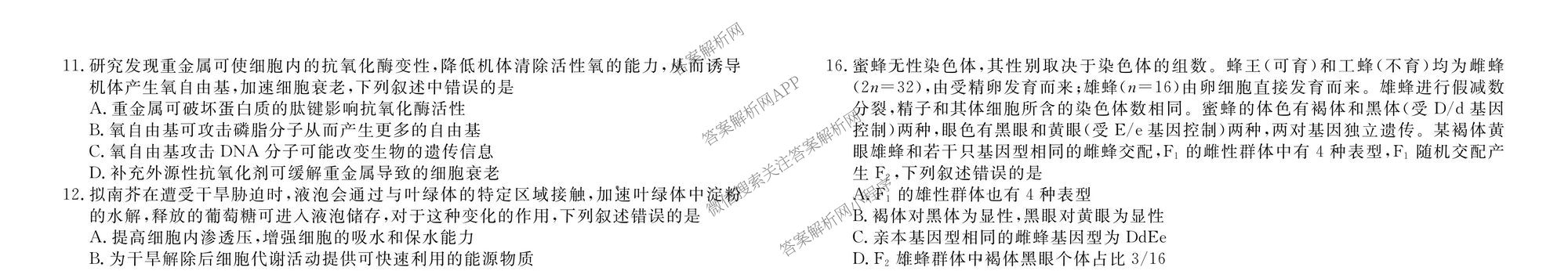 衡水金卷广东省2026届高三年级9月份联考(9.28)各科答案及试卷（含生物 物理 历史等10份）生物试题