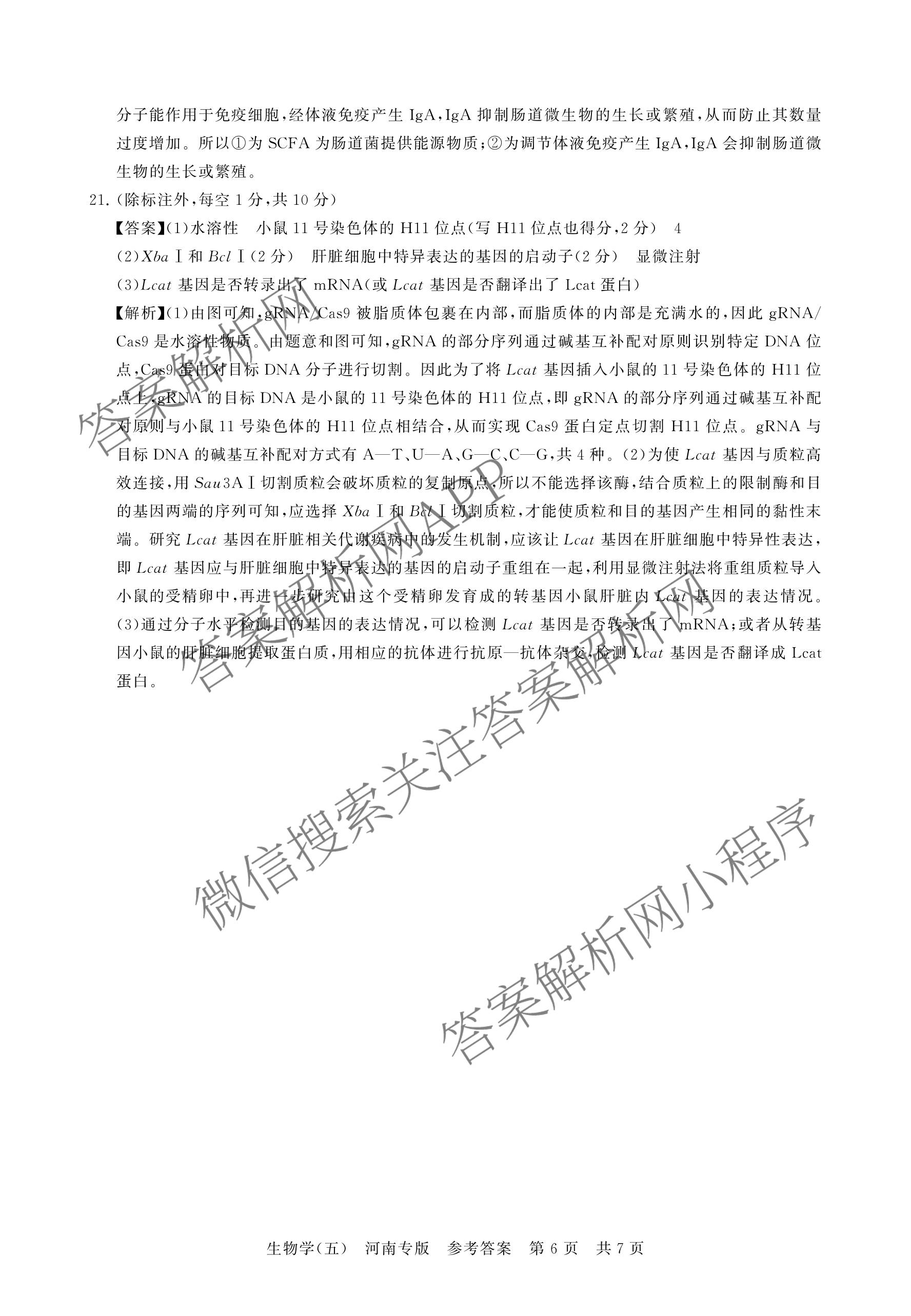 冲刺新高考2026届高考仿真训练(T8)(五)5各科答案及试卷: 含生物(河南专版)、物理(河北专版)、物理(陕晋青宁专版)试卷解析生物答案