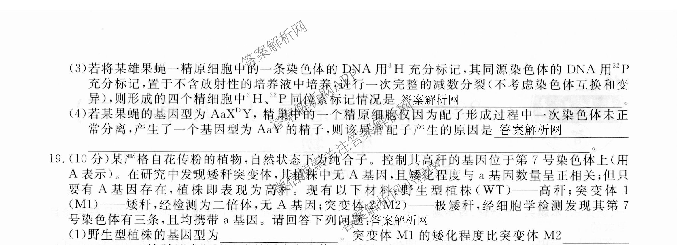 名校联考2026届高三总复月考卷(二)2试卷及答案汇总: 含语文(XS6G) 政治(HEN6G) 物理(XS6J)试卷解析生物试题 名校联考2026届高三总复月考卷(二)2试卷及答案汇总: 含语文(XS6G) 政治(HEN6G) 物理(XS6J)试卷解析生物试题