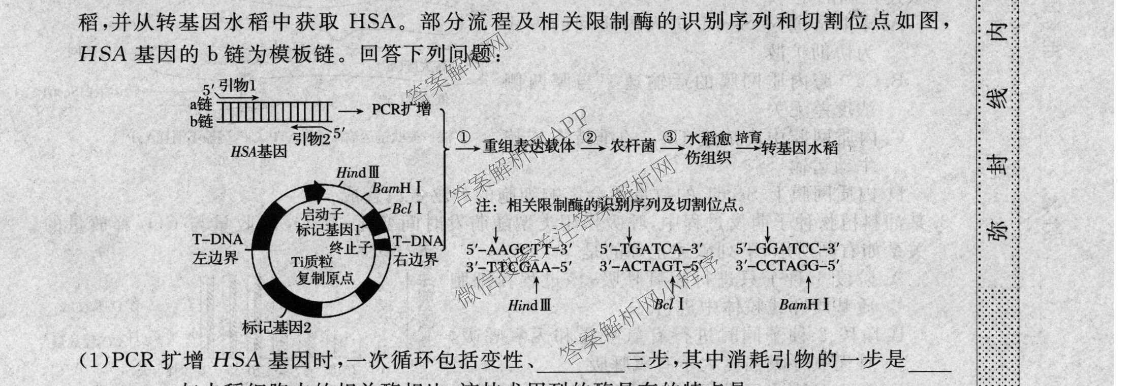 2026普通高等学校招生全国统一考试冲刺押题卷(二)2各科答案及试卷（含语文 物理 生物(HBJ)等15份）生物试题