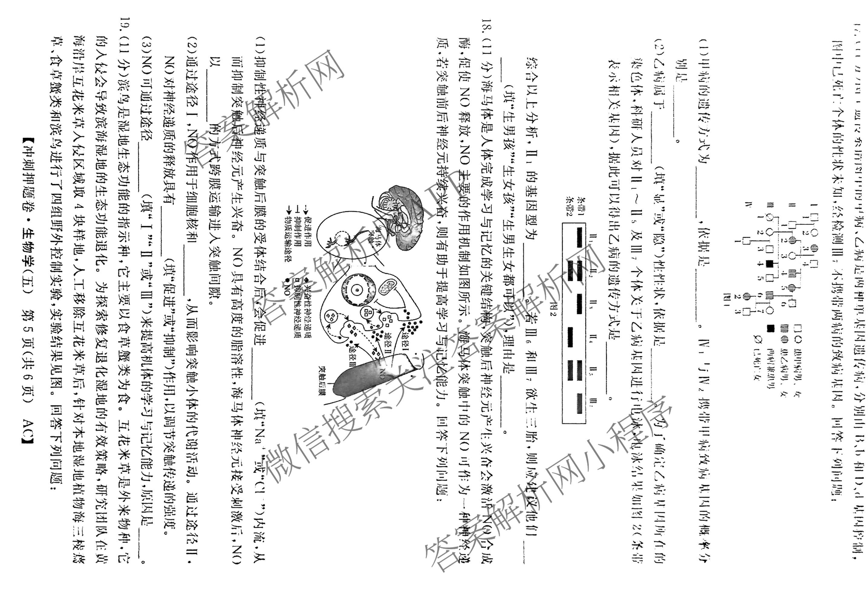 2026普通高等学校招生全国统一考试冲刺押题卷(五)5试卷及答案汇总（含数学(A)、地理(HNY)、语文等）生物试题