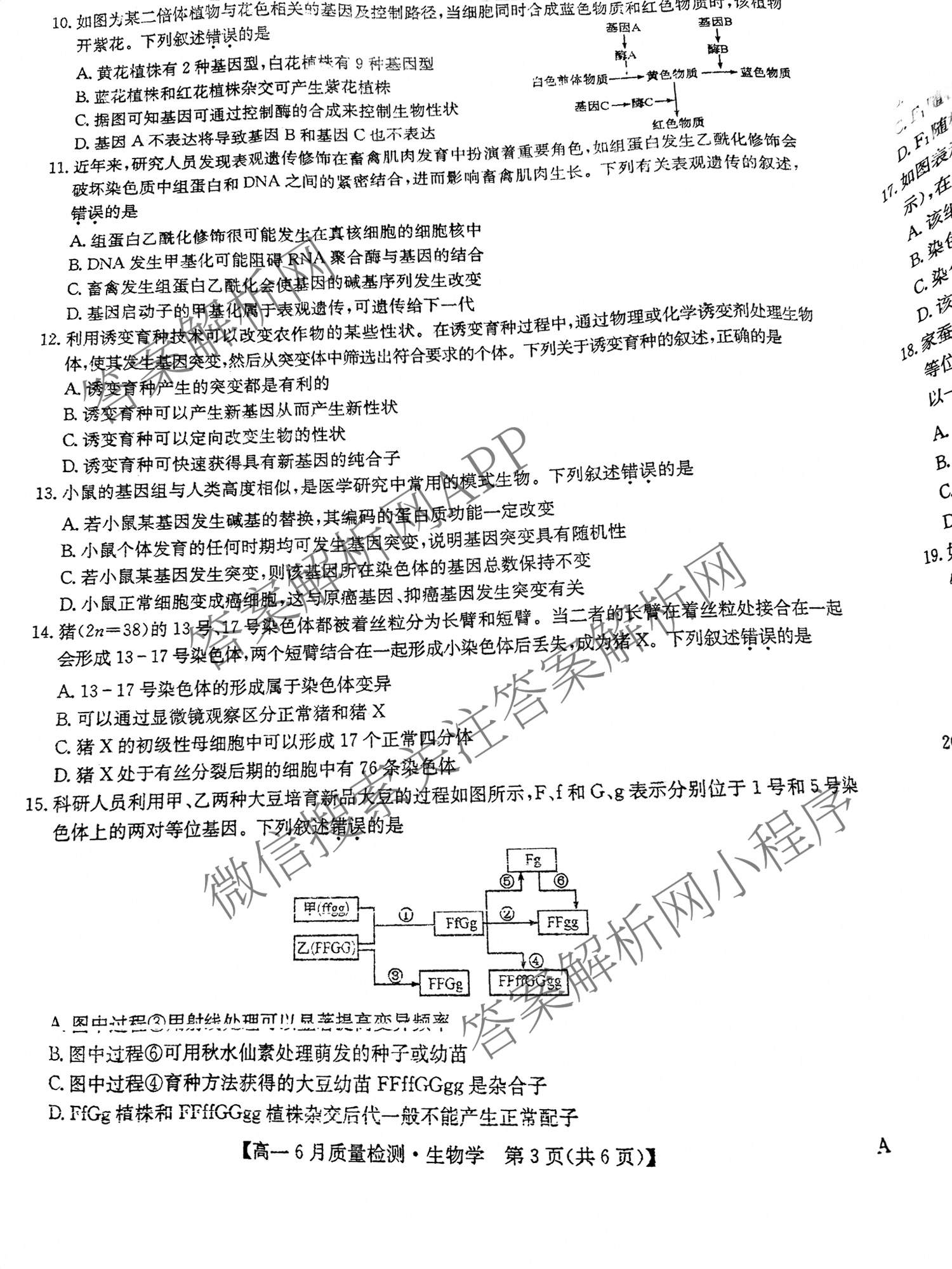 九师联盟2024-2025学年高一6月质量检测试卷及答案汇总（21科全）生物试题