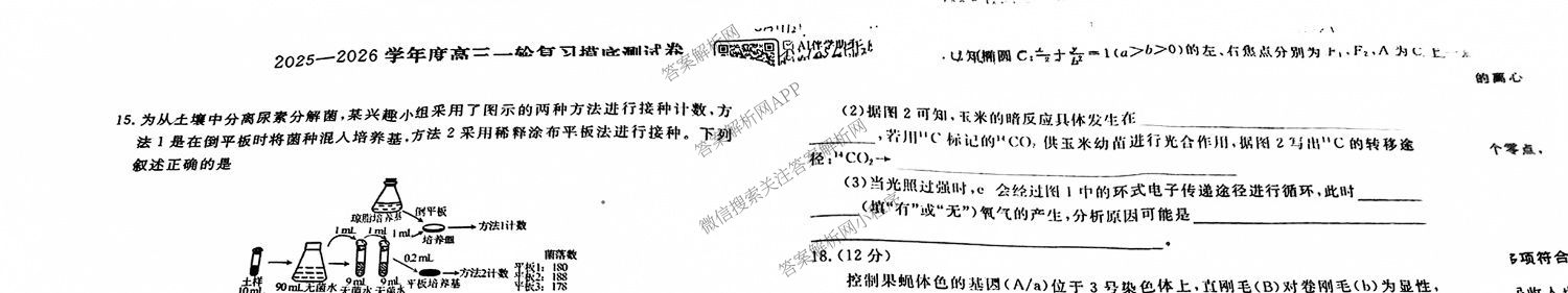 衡水金卷先享题摸底卷 2025-2026学年度高三一轮复摸底测试卷(一)1各科答案及试卷(已更新物理(Q) 政治(W) 英语等16份)生物试题