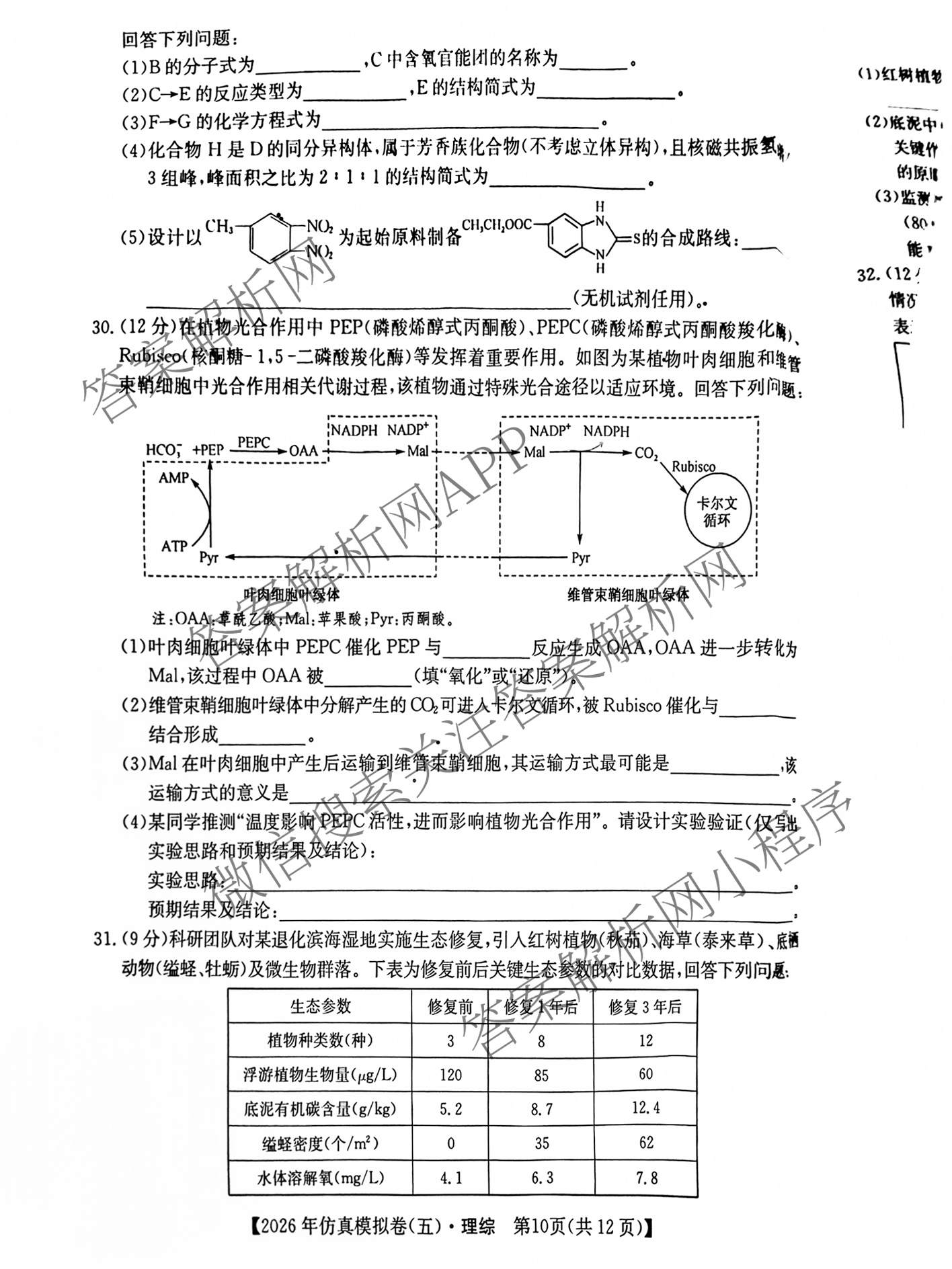 2026年全国高考仿真模拟卷(五)5（含英语、生物(E2)、物理(广西)等35份）理综试题