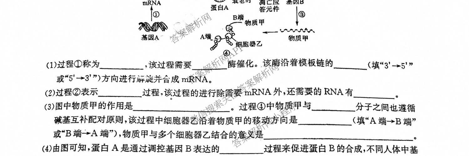九师联盟2024-2025学年高一6月质量检测试卷及答案汇总（21科全）生物试题