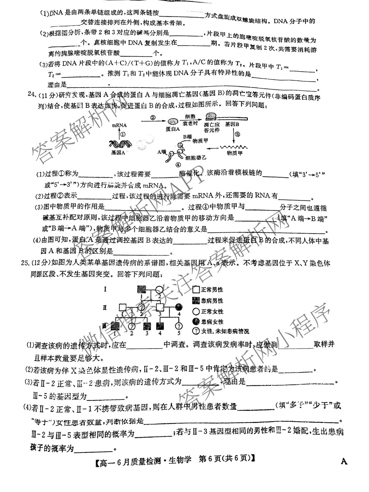九师联盟2024-2025学年高一6月质量检测试卷及答案汇总（21科全）生物试题