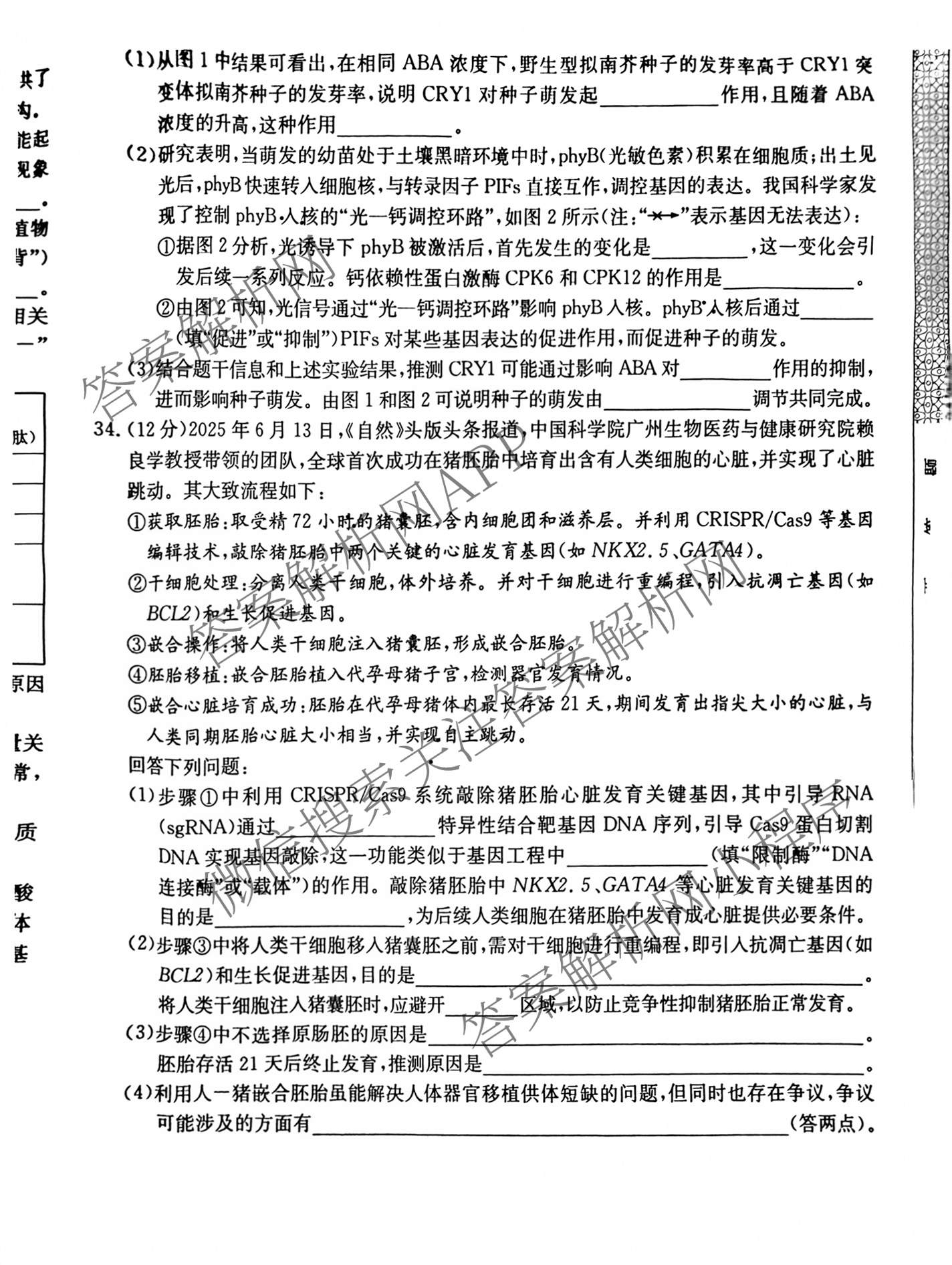 2026年全国高考仿真模拟卷(五)5（含英语、生物(E2)、物理(广西)等35份）理综试题