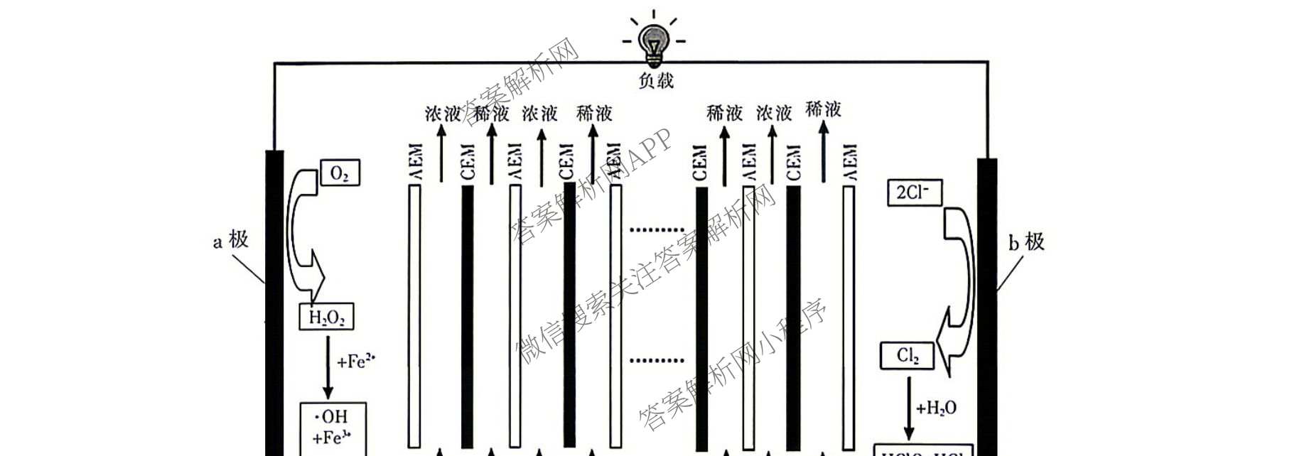 上进联考江西省2027届高三年级9月供题训练试卷及答案汇总: 含政治 数学 生物试卷解析化学试题