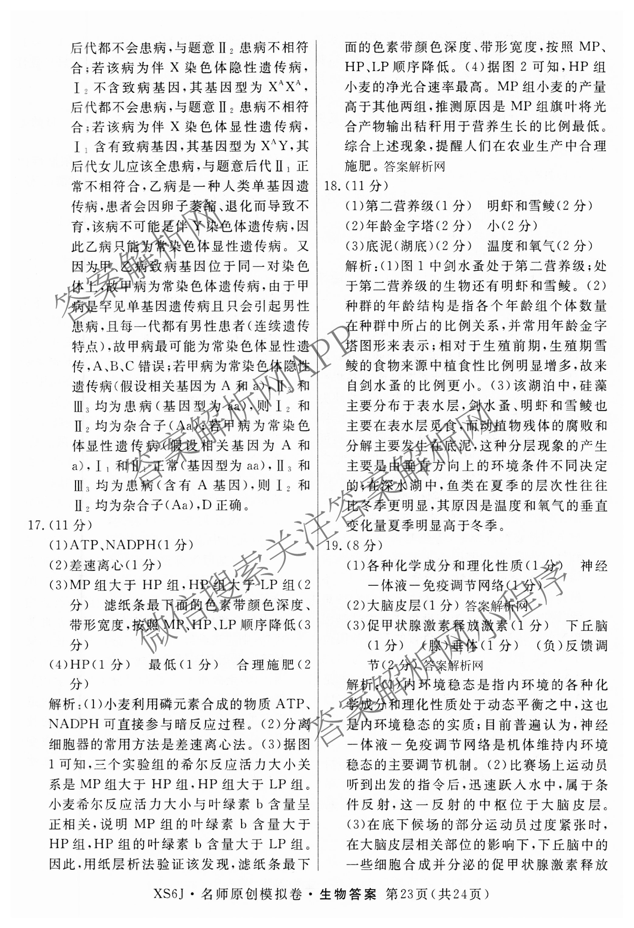 2026届高三总复习名师原创模拟(十二)12试卷及答案汇总（含语文(XS6G) 化学(XS6JG) 历史(新S6J)等）生物答案