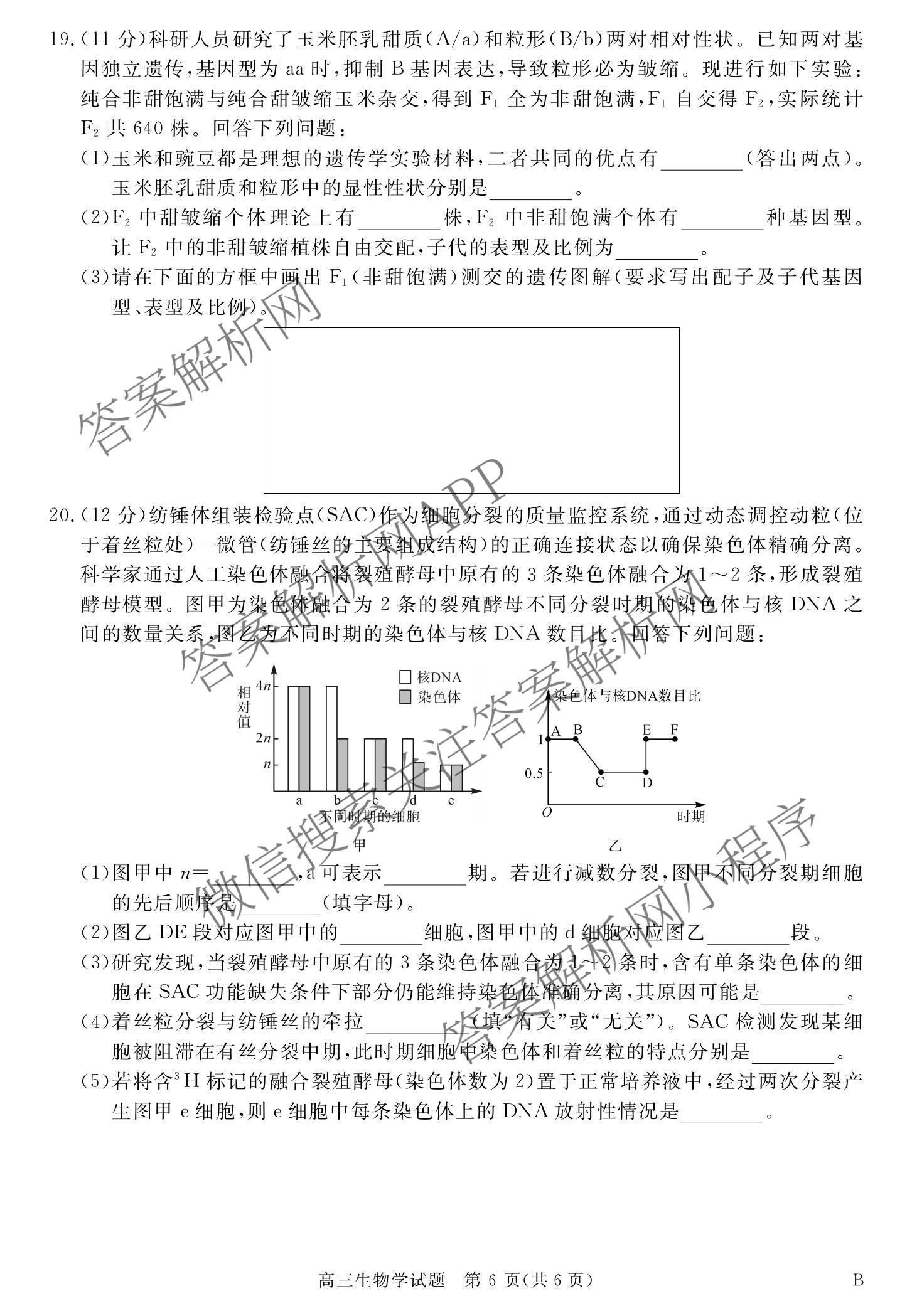 华师联盟2027届高三9月开学质量检测（10科全）生物试题