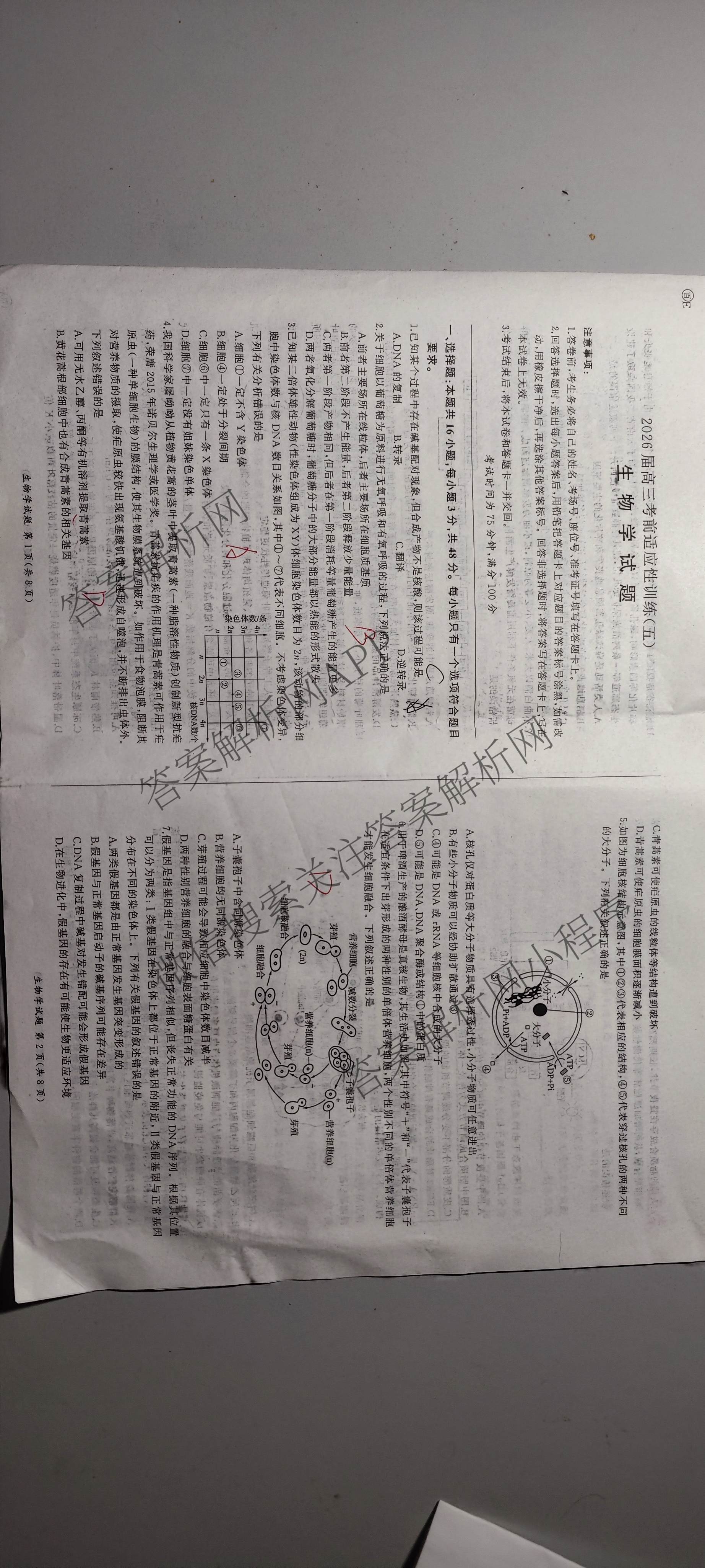 百师联盟2026届高三考前适应性训练(五)（26科全）生物试题