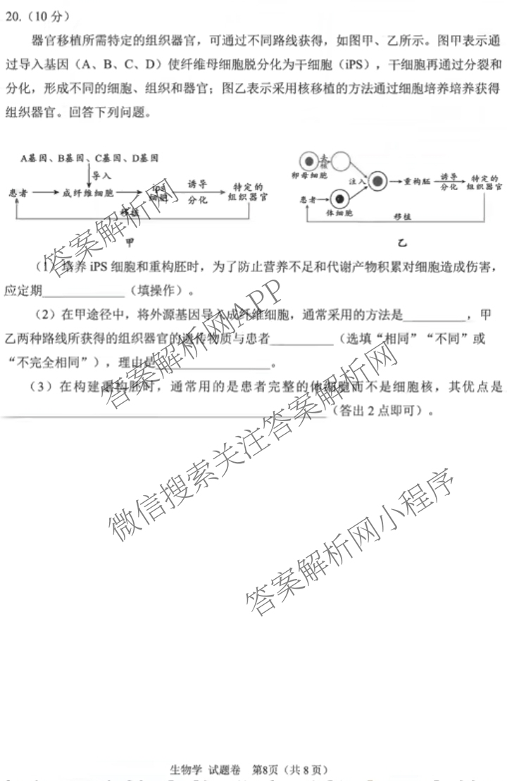 元三维大联考高2022级第三次诊断性测试(2025.4.19)试卷及答案汇总（10科全）生物试题