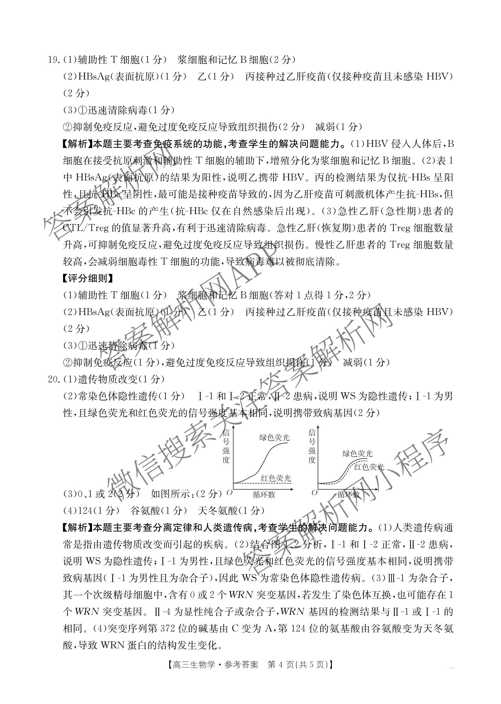 云南省2025-2026学年高三3月联考(3.02)各科答案及试卷: 含数学、化学、政治试卷解析生物答案