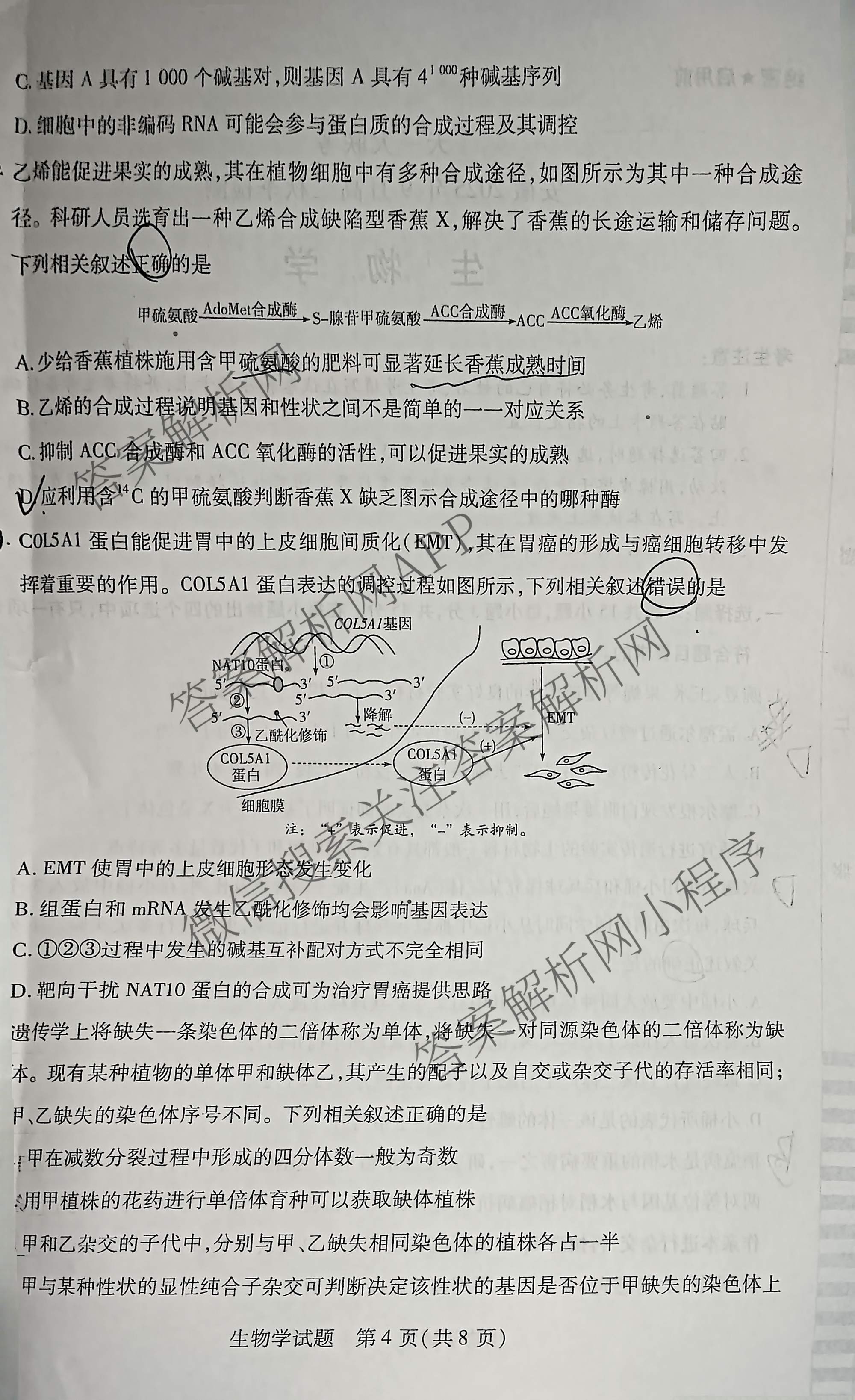  天一大联考安徽2025年9月高二秋季检测试卷及答案汇总（含语文、物理(黄山专版)、历史等）生物试题