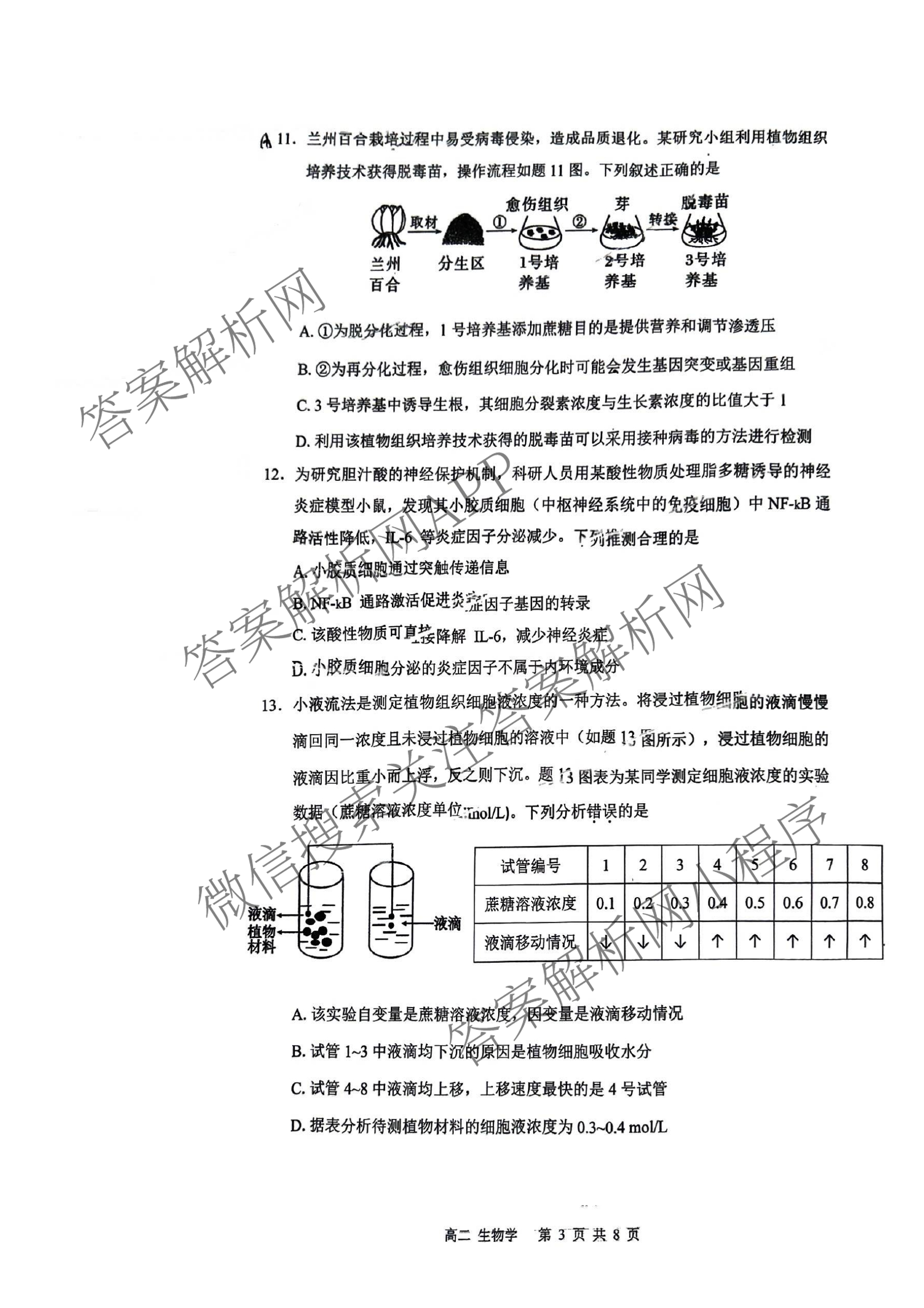 广东省深圳市2024-2025学年第二学期调研测试卷高二(2025.7)各科答案及试卷(已更新数学 英语 语文等9份)生物试题