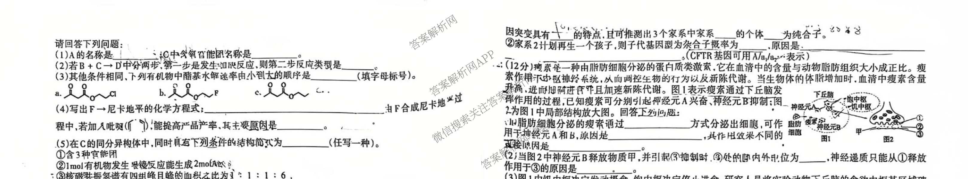 2026年普通高等学校招生统一考试JY高三模拟卷(二)（含物理(新高考·A) 政治(新高考·A) 生物(新高考·E)等14份）理综试题
