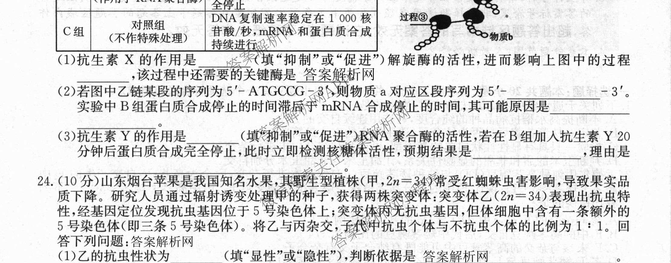 2025~2026学年度高一期末考试卷(下学期)各科答案及试卷（含语文(必修下册) 地理(必修第二册) 数学(必修第二册 RJ)等9份）生物试题