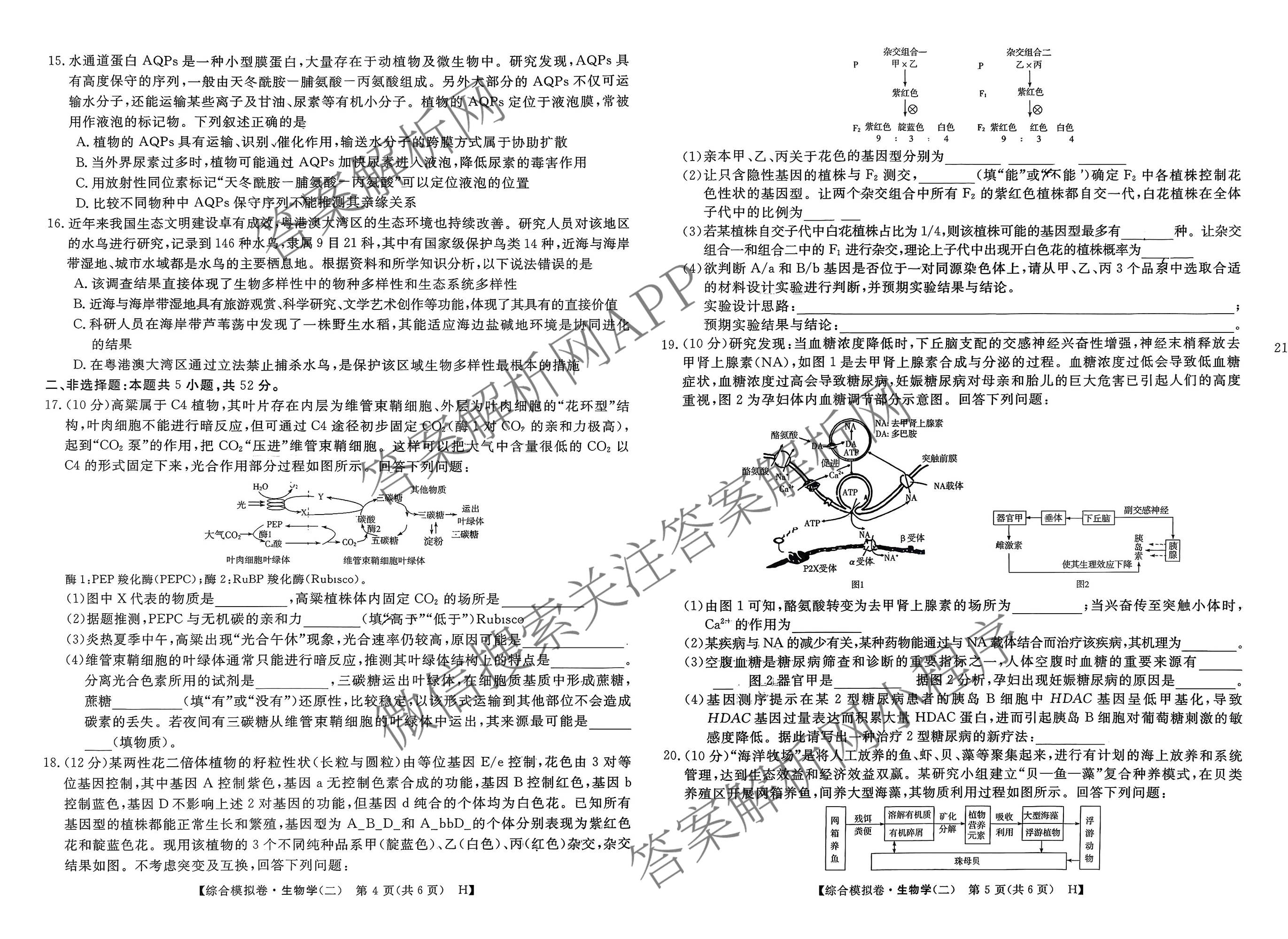 2026普通高等学校招生全国统一考试综合模拟卷(二)2（含化学(B) 历史(B) 英语(X)等14份）生物试题