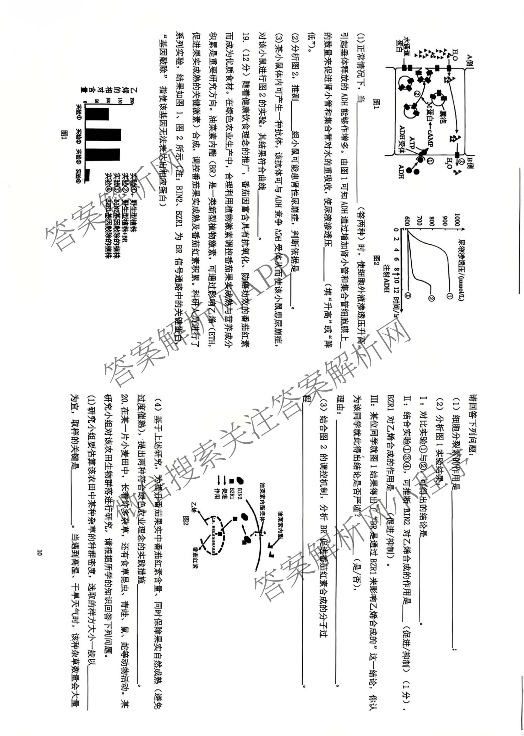 漯河市2025-2026学年上学期高二期末考试(2月): 含化学、政治、物理试卷解析生物试题