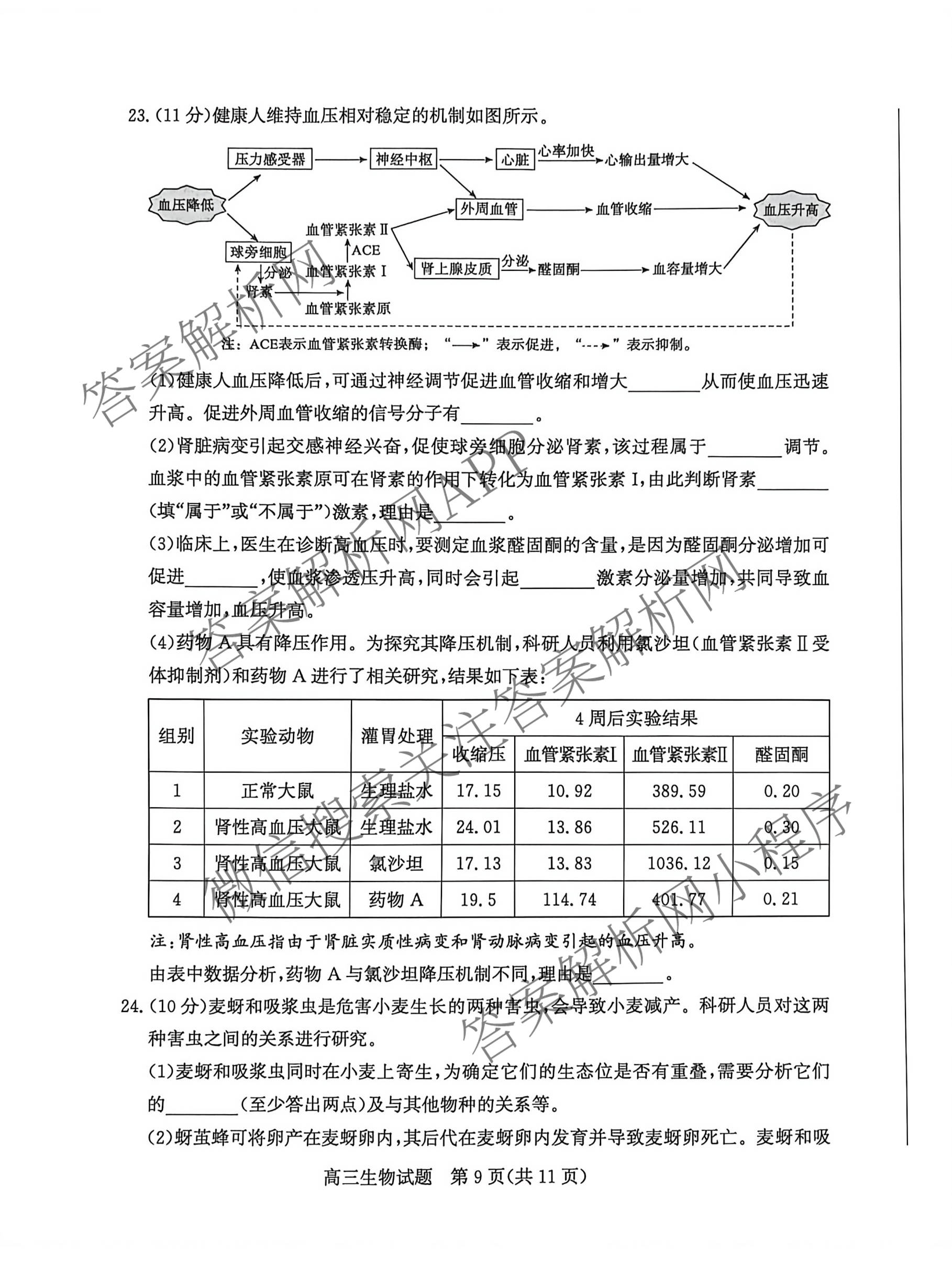 山东省滨州市2026届高三(无标题)(2026.3)各科答案及试卷（9科全）生物试题
