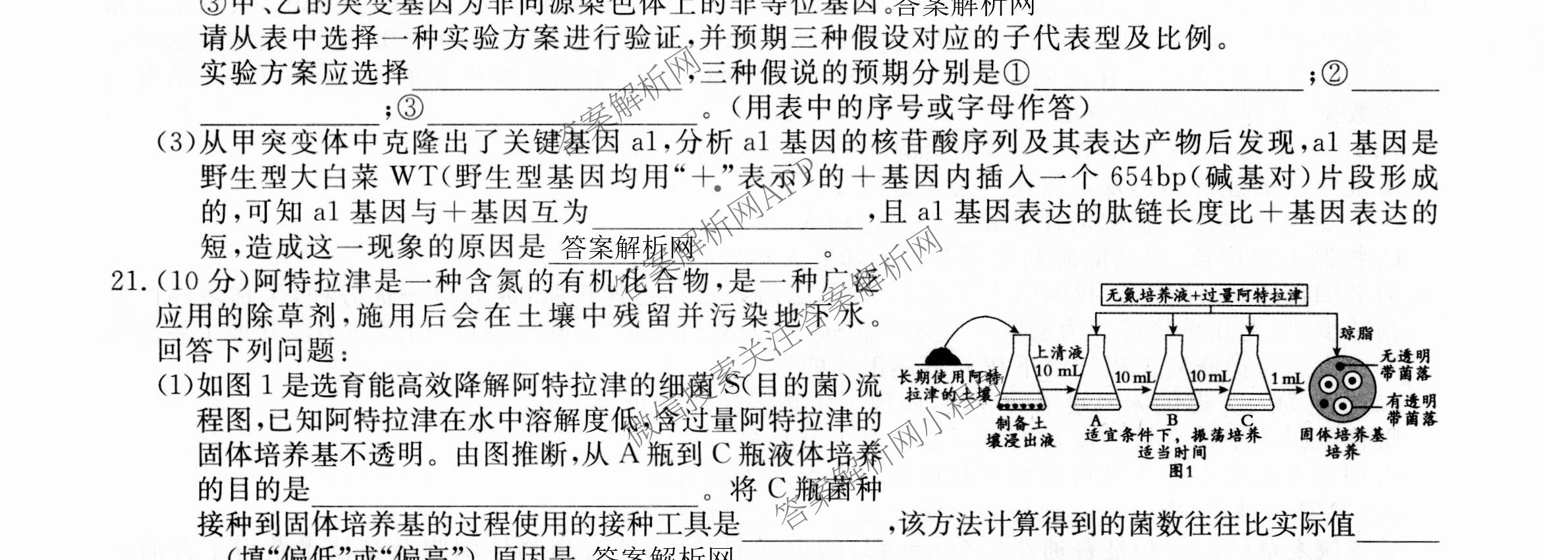 2026届高三总复习名师原创模拟(十一)11试卷及答案汇总（39科全）生物试题