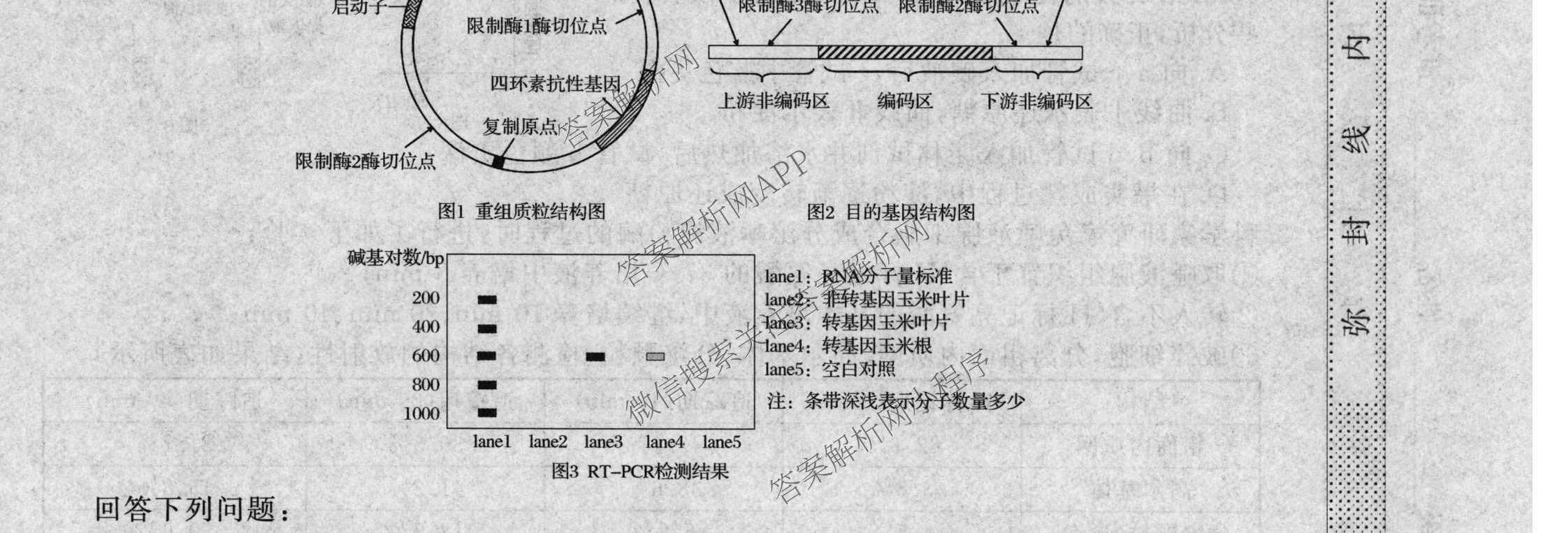 2026普通高等学校招生全国统一考试冲刺押题卷(四)4各科答案及试卷（含语文 地理(HNY) 生物(HBJ)等）生物试题