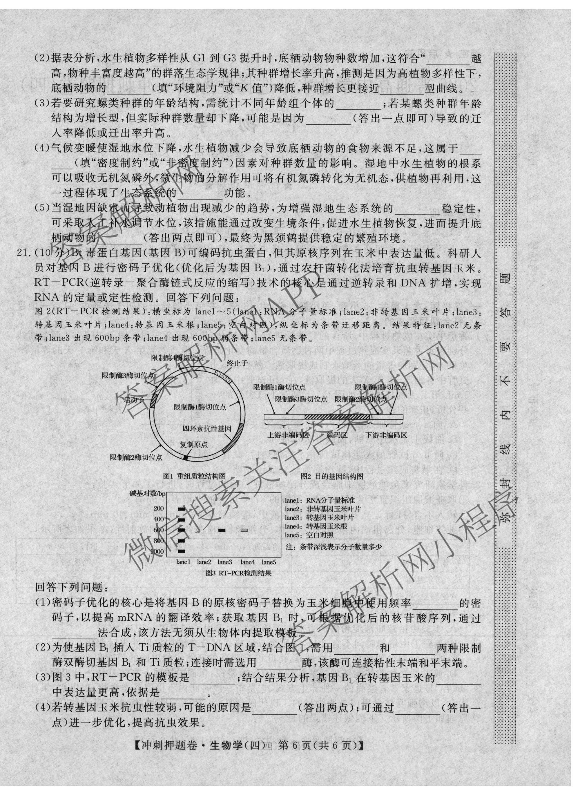 2026普通高等学校招生全国统一考试冲刺押题卷(四)4各科答案及试卷（16科全）生物试题