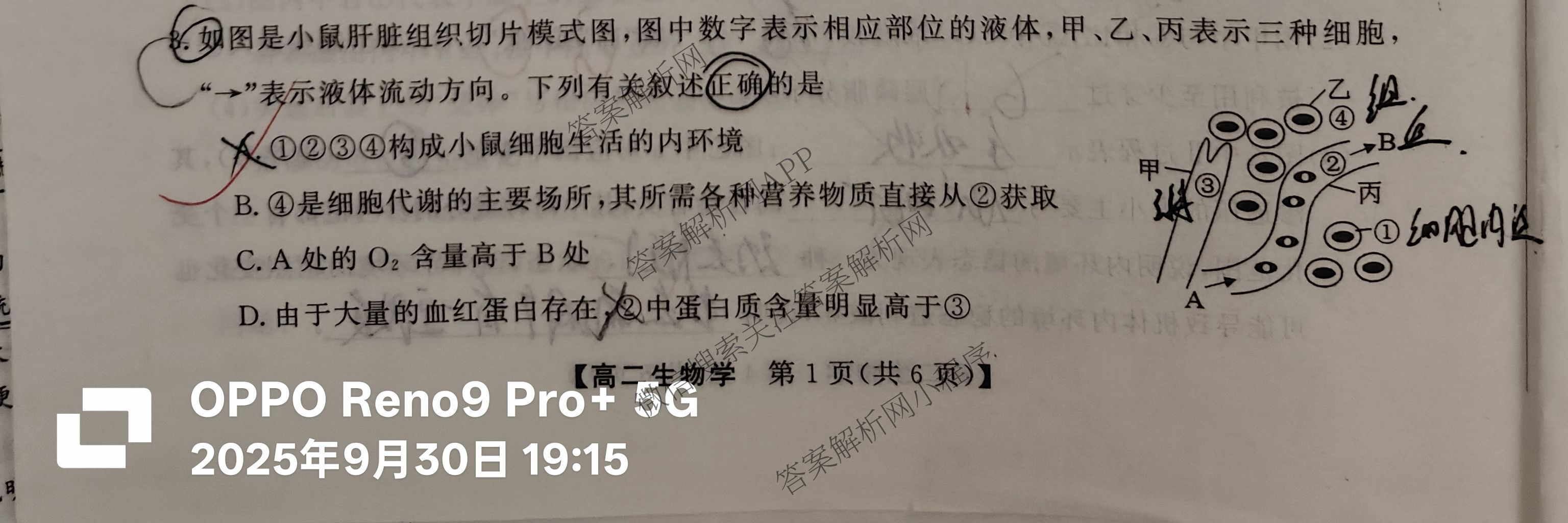 陕西省2025年~2026年度高二第一次考试(9月)（含政治、生物、化学等）生物试题